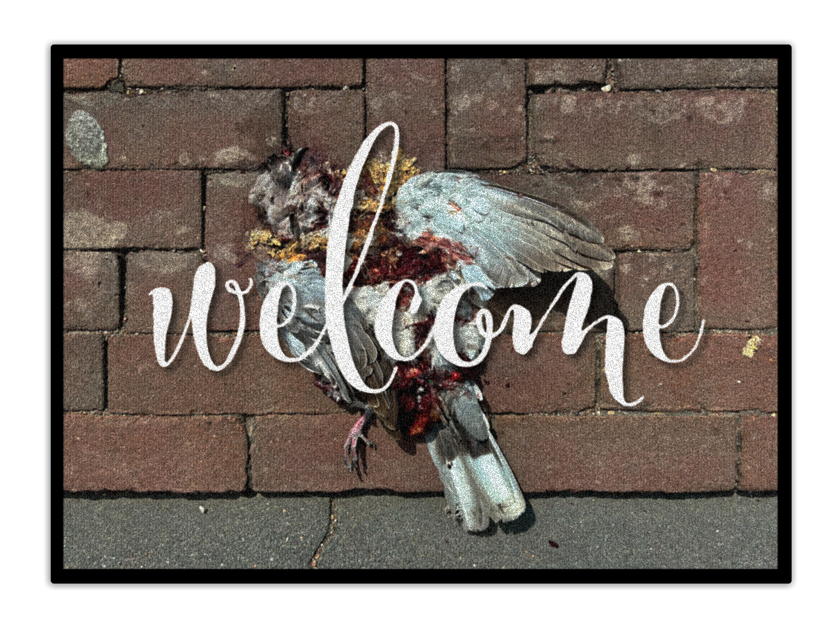 welcome.png