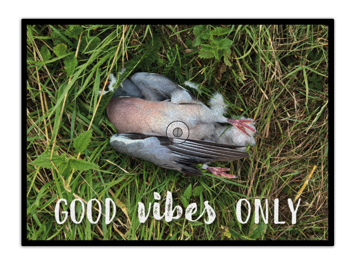 goodvibesonly.png