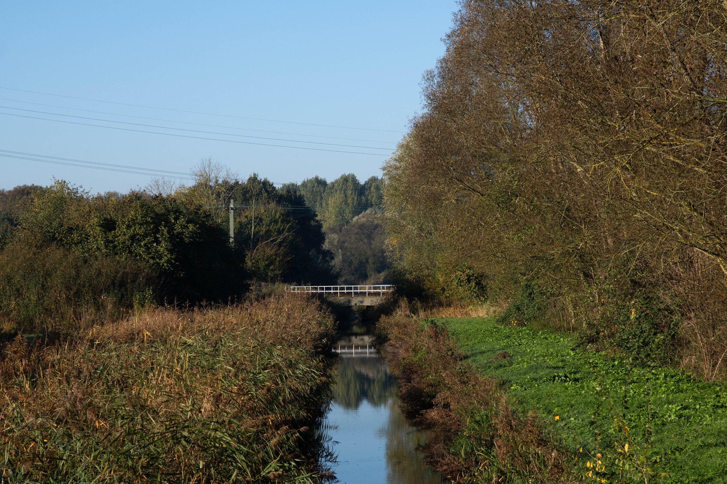 DSC06707.jpg