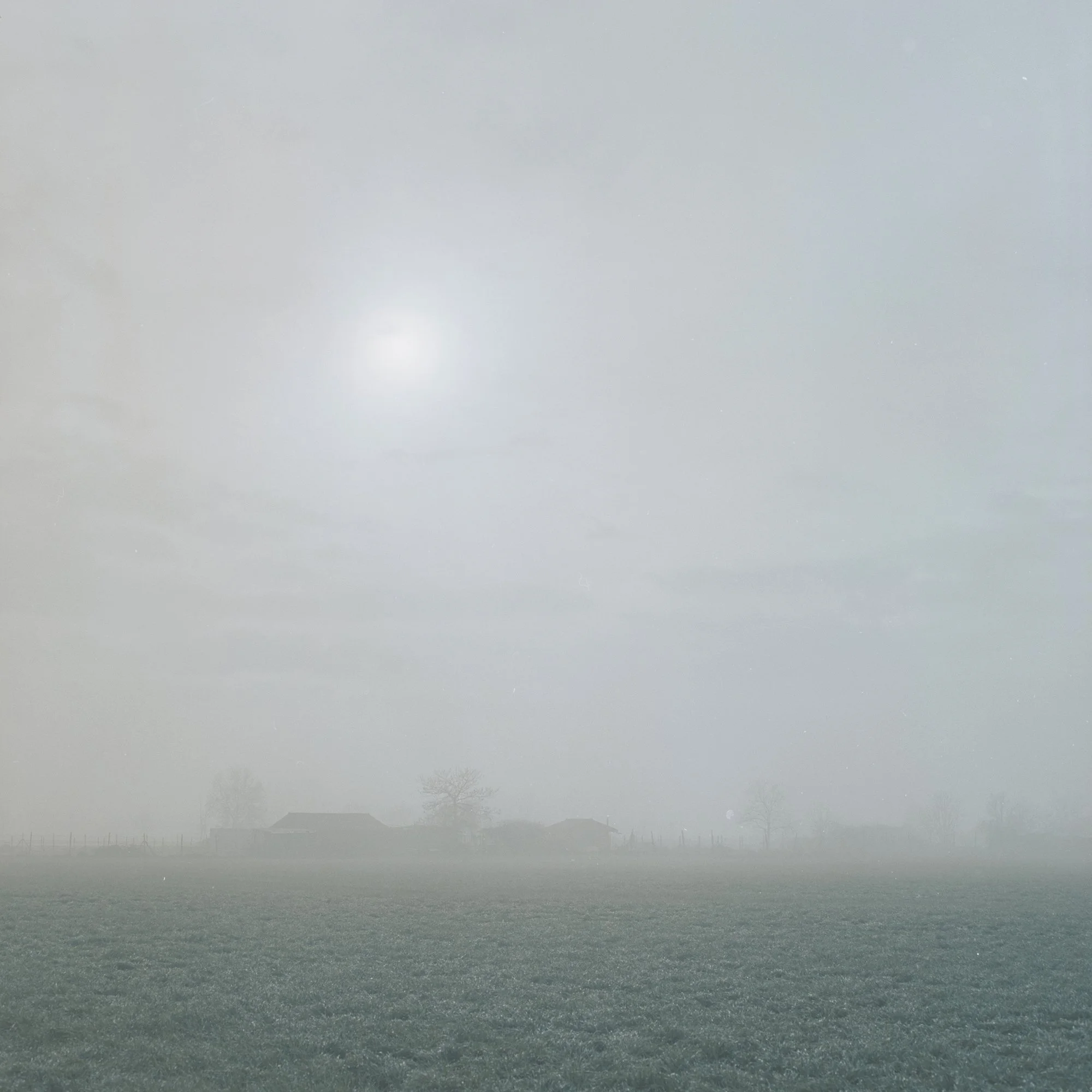 2023-03_Tonengo-Hass-nebbia-copy copy.jpg