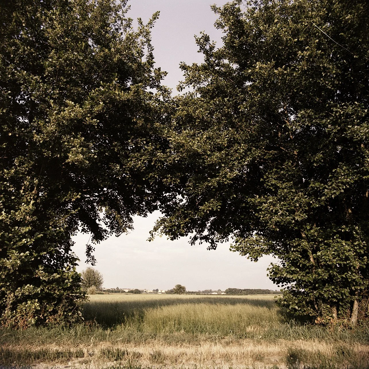 a-2023-08-Arche-Mazze-H-13-6024-2 copy.jpg