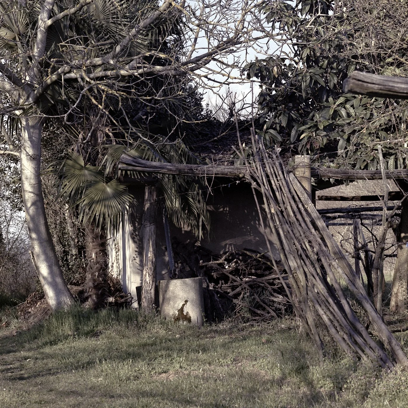 A new picture to add to "Mazzè sheds skin?