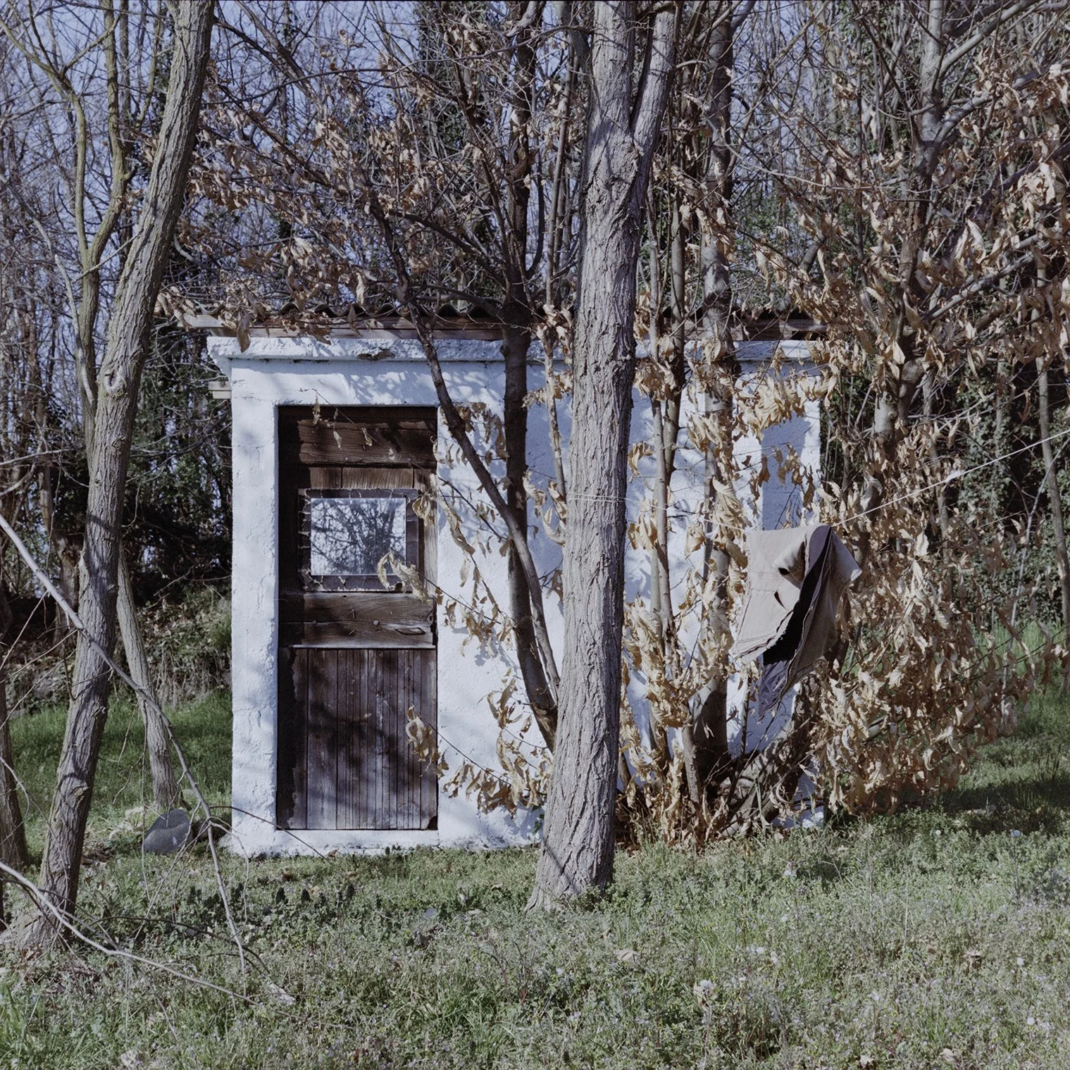 A new picture to add to "Mazzè sheds skin?