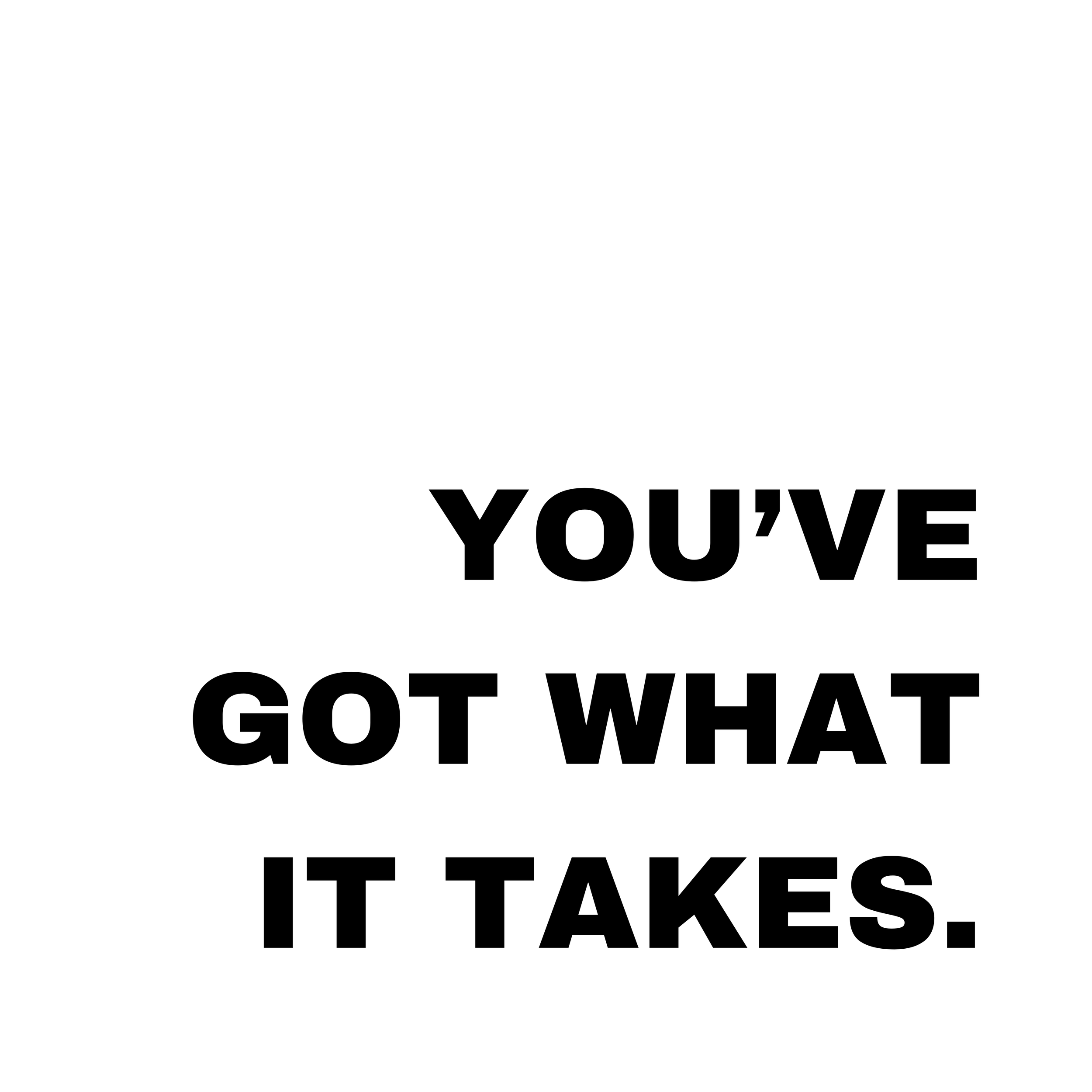 YOU'VE GOT WHAT IT TAKES..png