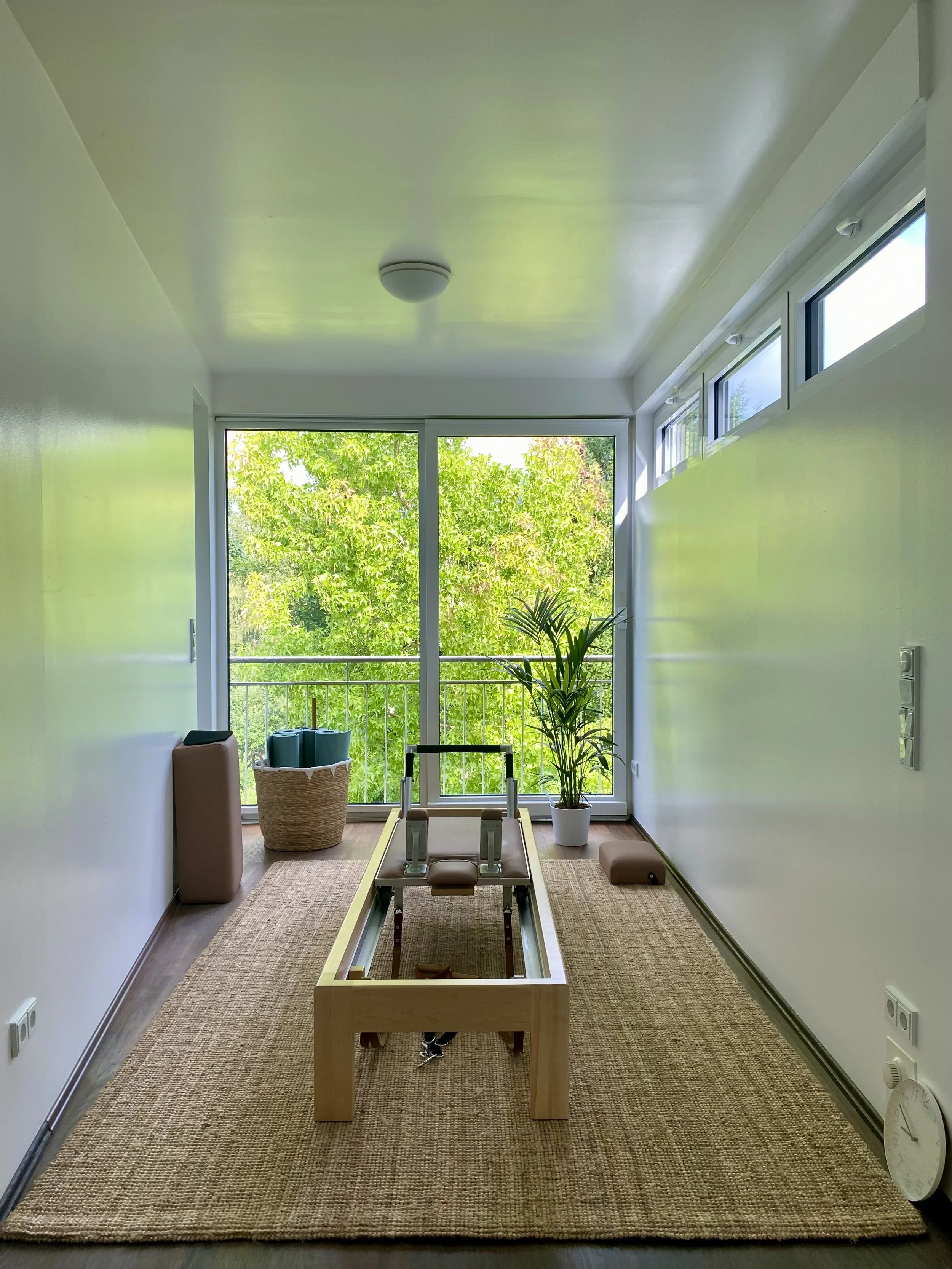 Ein heller Raum mit großen Fenstern, einer Pflanze, einem Pilates-Reformer und einem Teppich auf dem Boden.