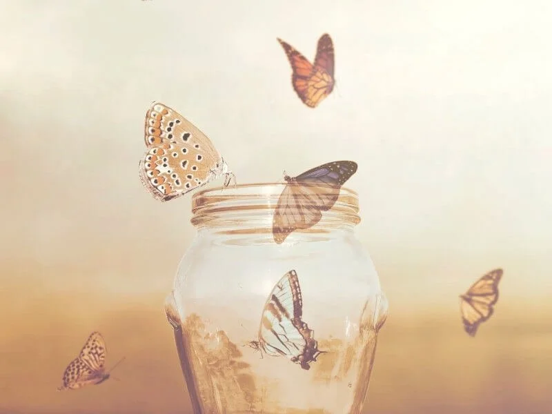 How to break old habits and create positive ones.jpg