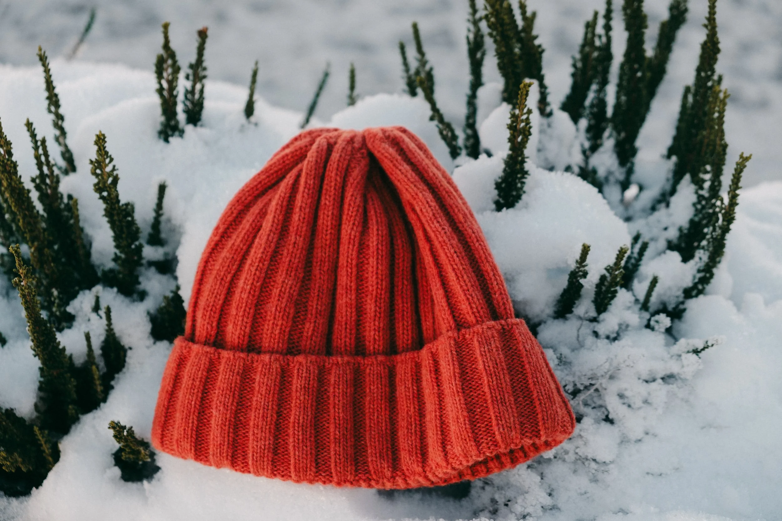 Ariel Palazzolo Fotografa-2.jpg