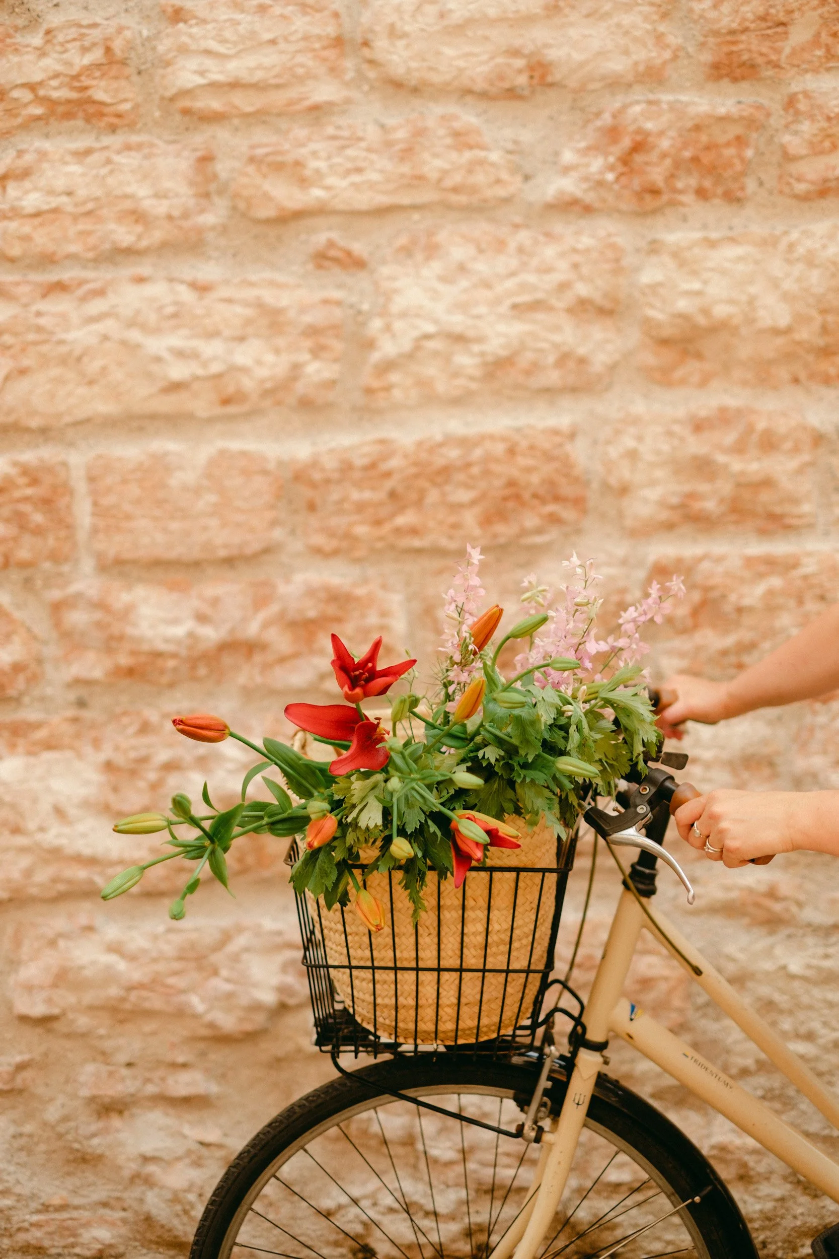 fotografia ritratto professionista Trento-19.jpg