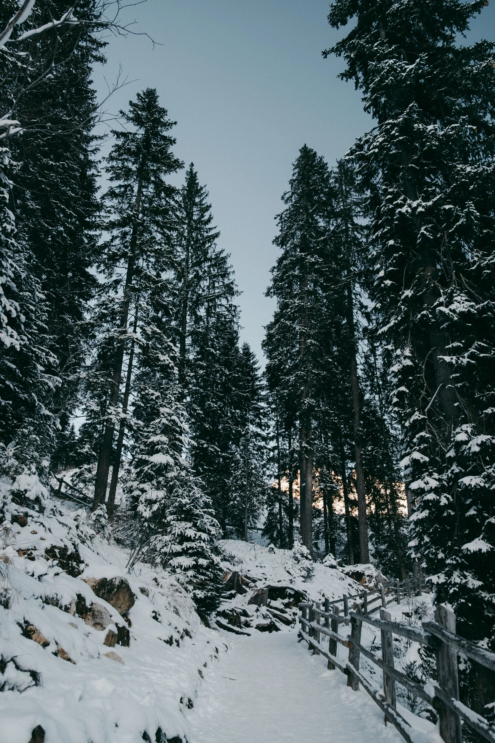 Ariel Palazzolo Fotografa-18.jpg