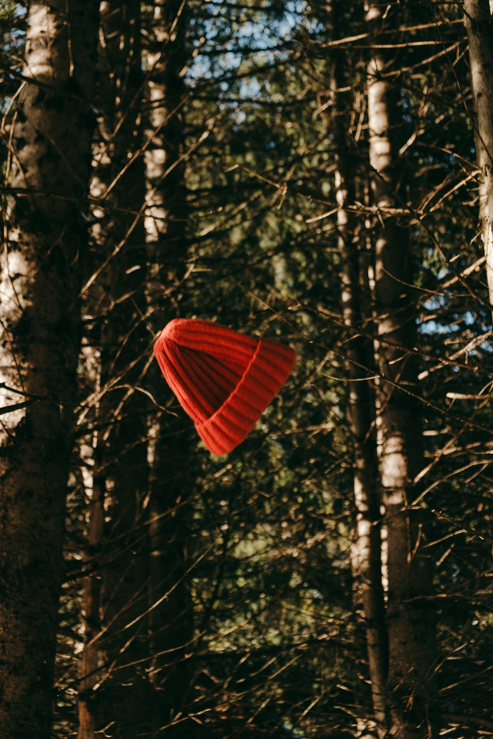 Ariel Palazzolo Fotografa-13.jpg