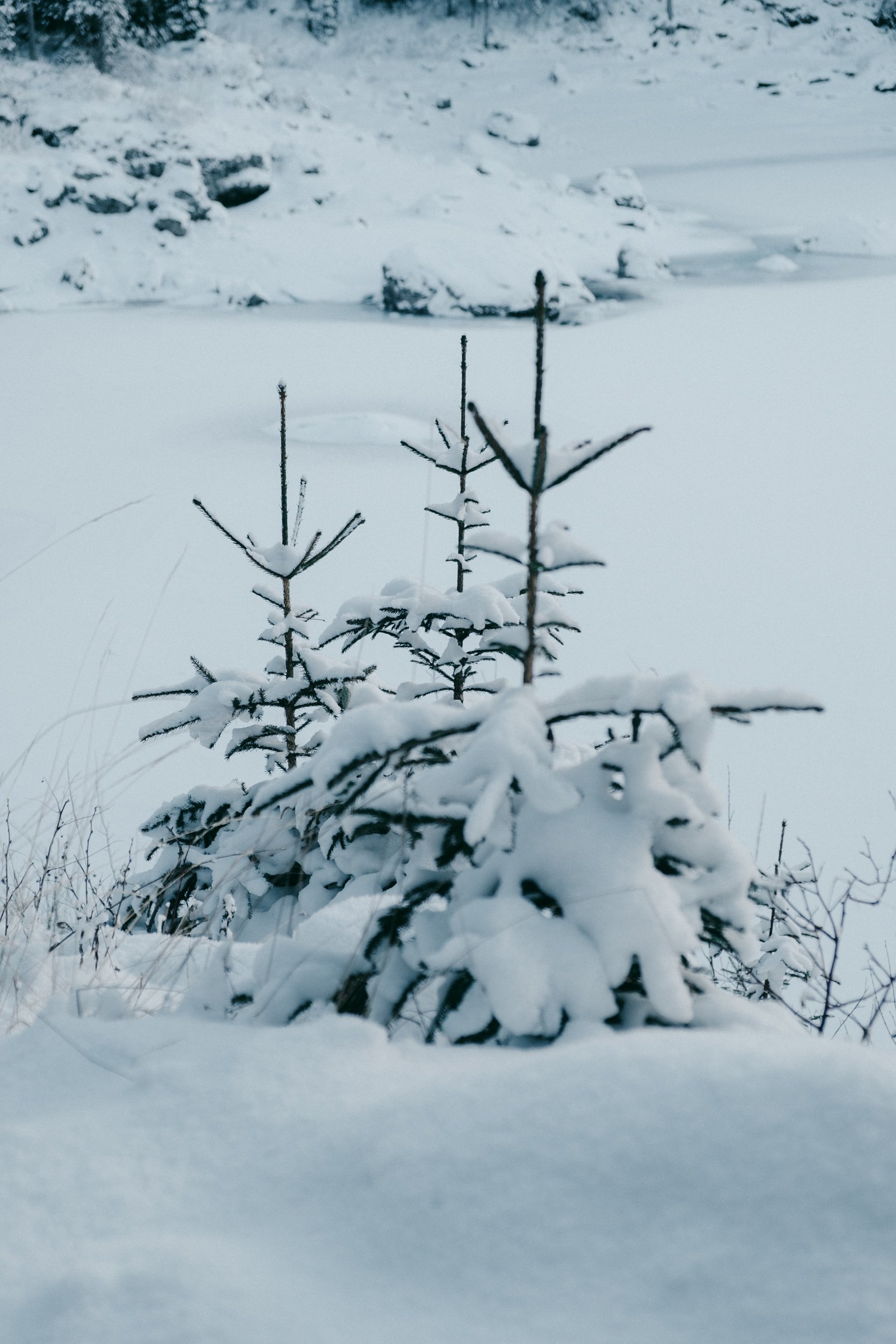 Ariel Palazzolo Fotografa-17.jpg