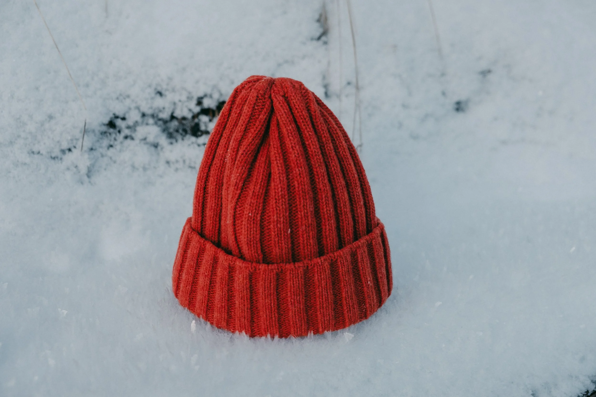 Ariel Palazzolo Fotografa-23.jpg