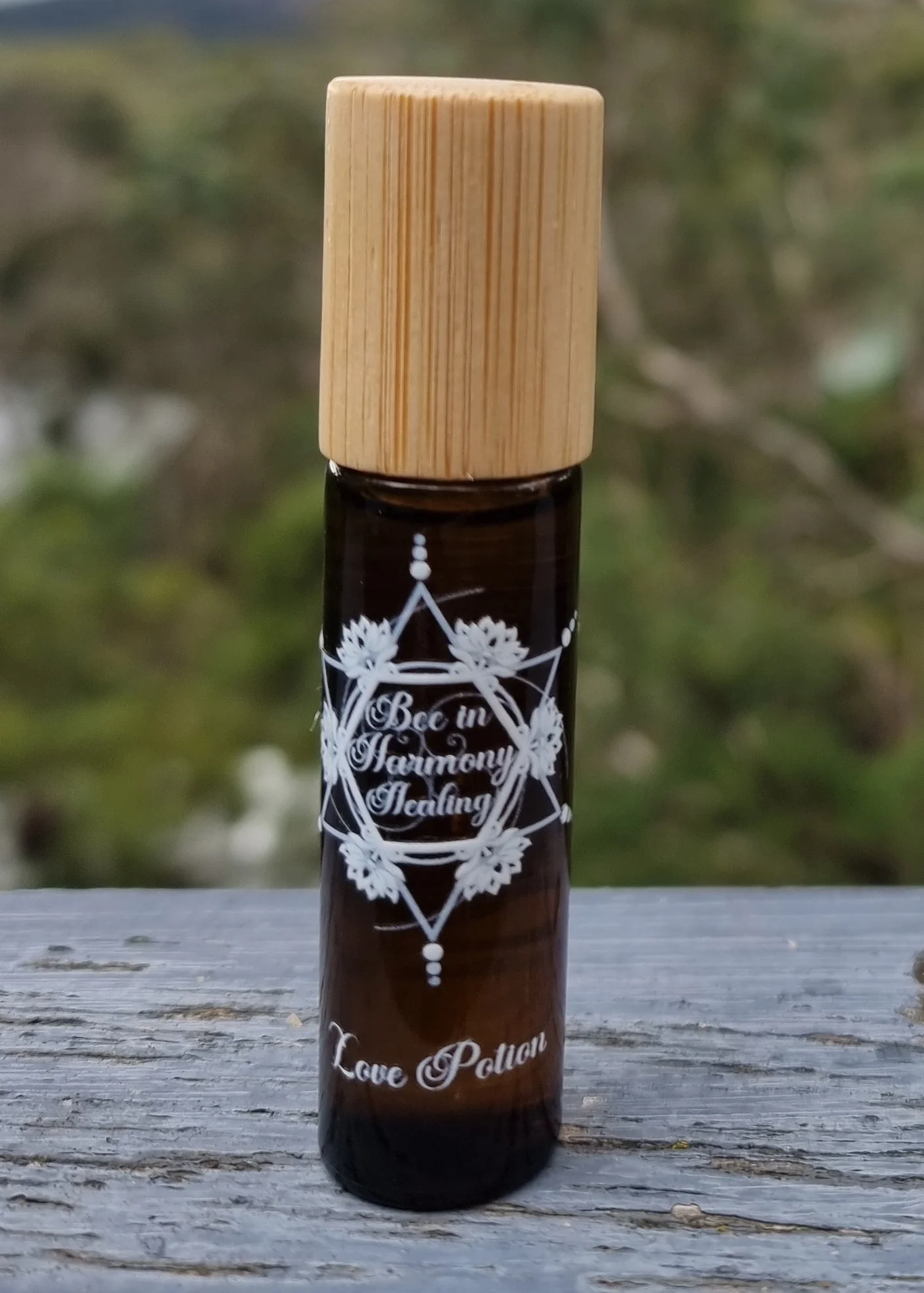 20260201_172242 copy.jpg (Copy) (Copy)