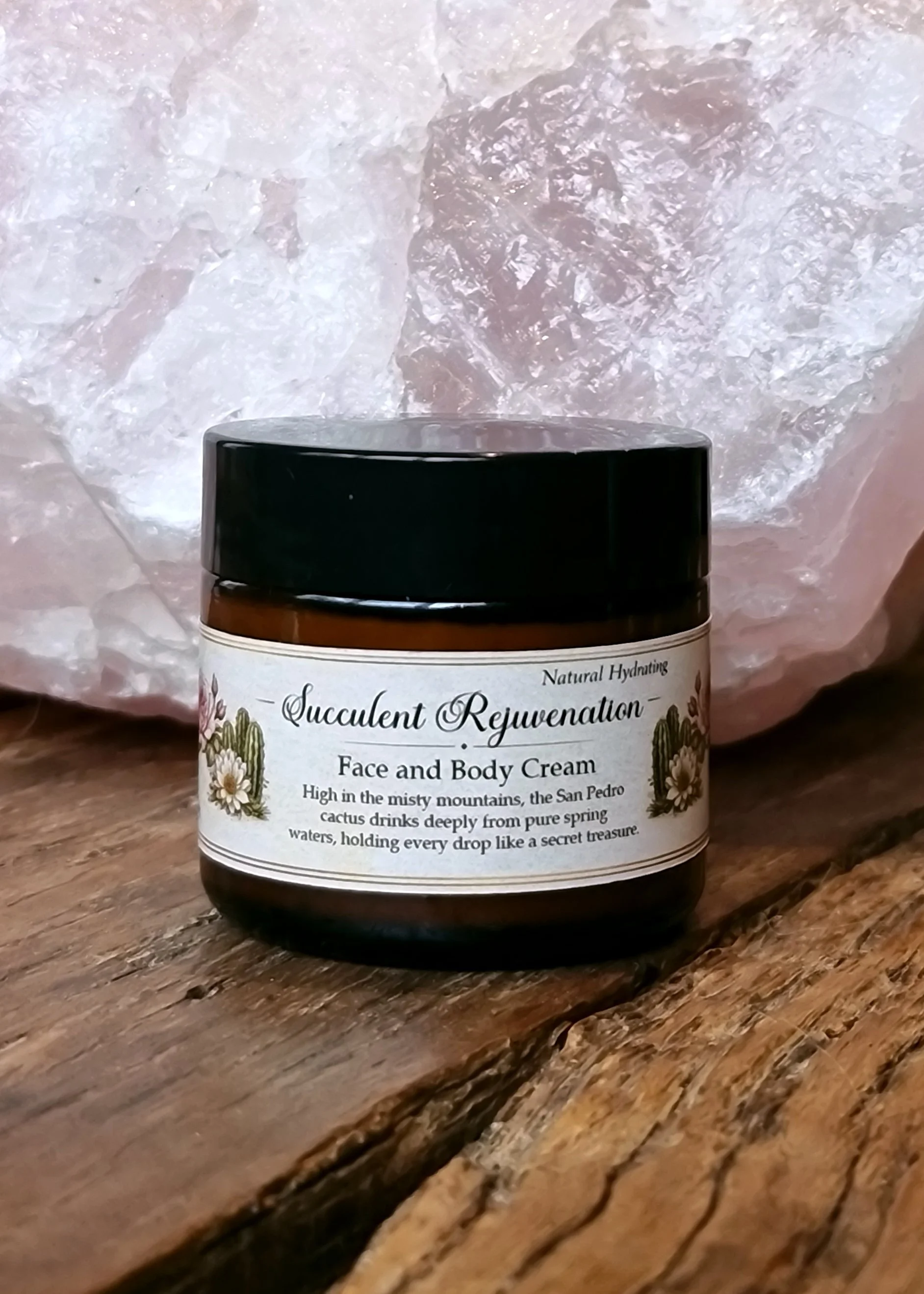 Succulent Rejuvination