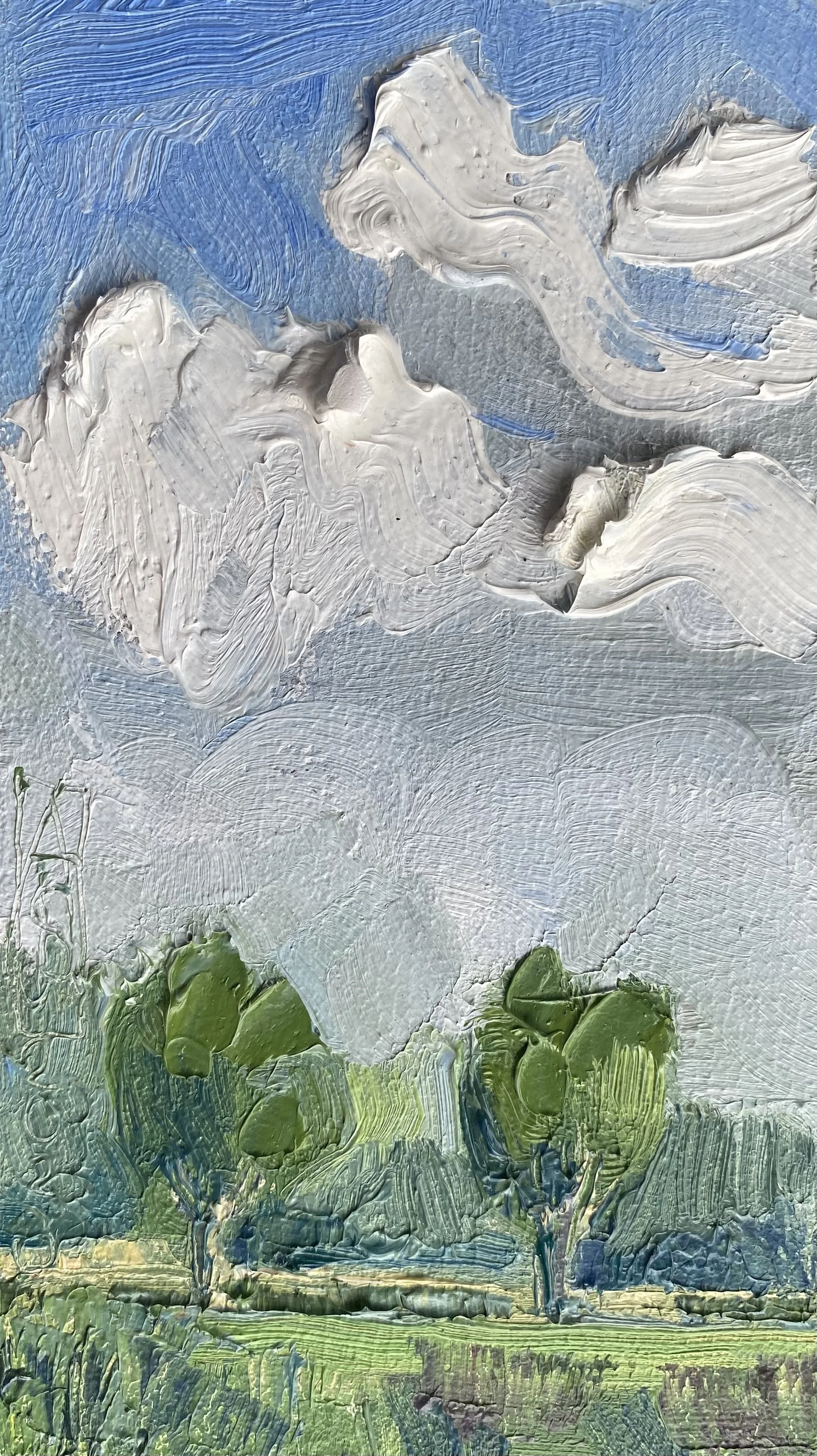 Wijds met wolken - 15x8,5 - € 135,-