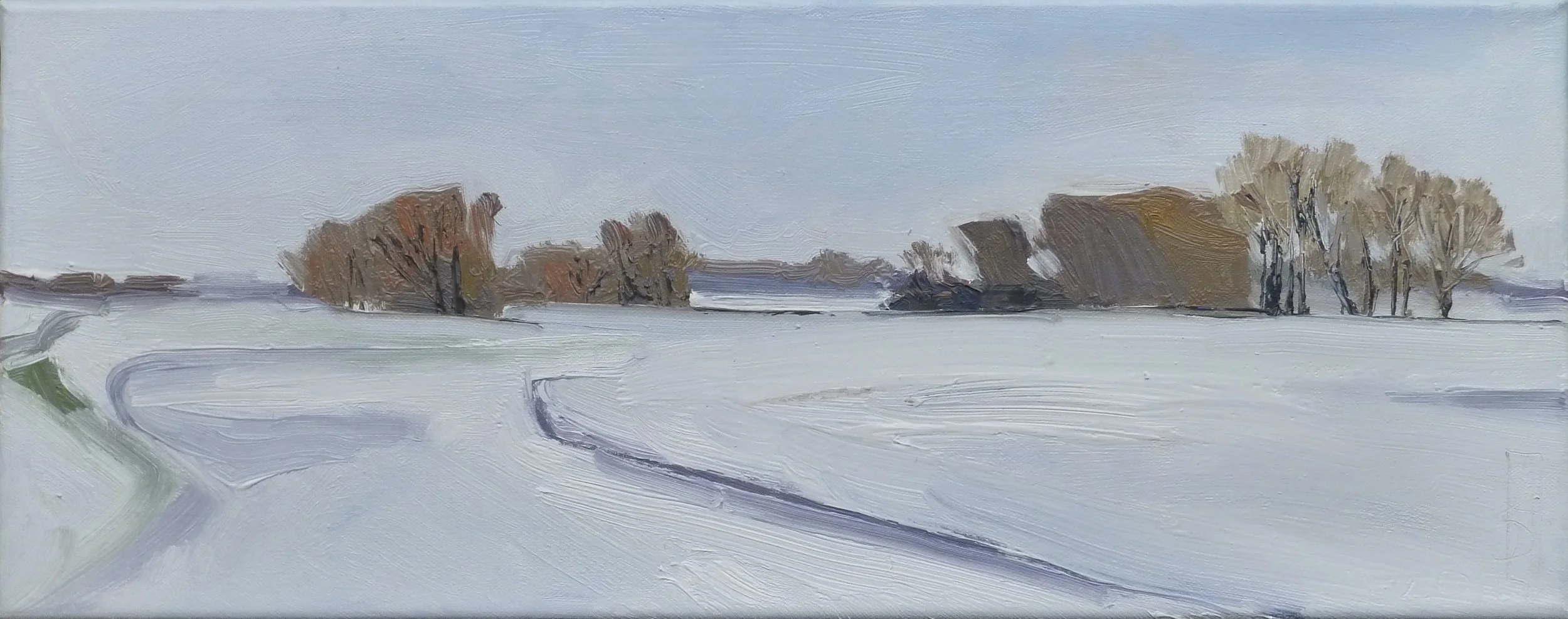 Landschappen sneeuw