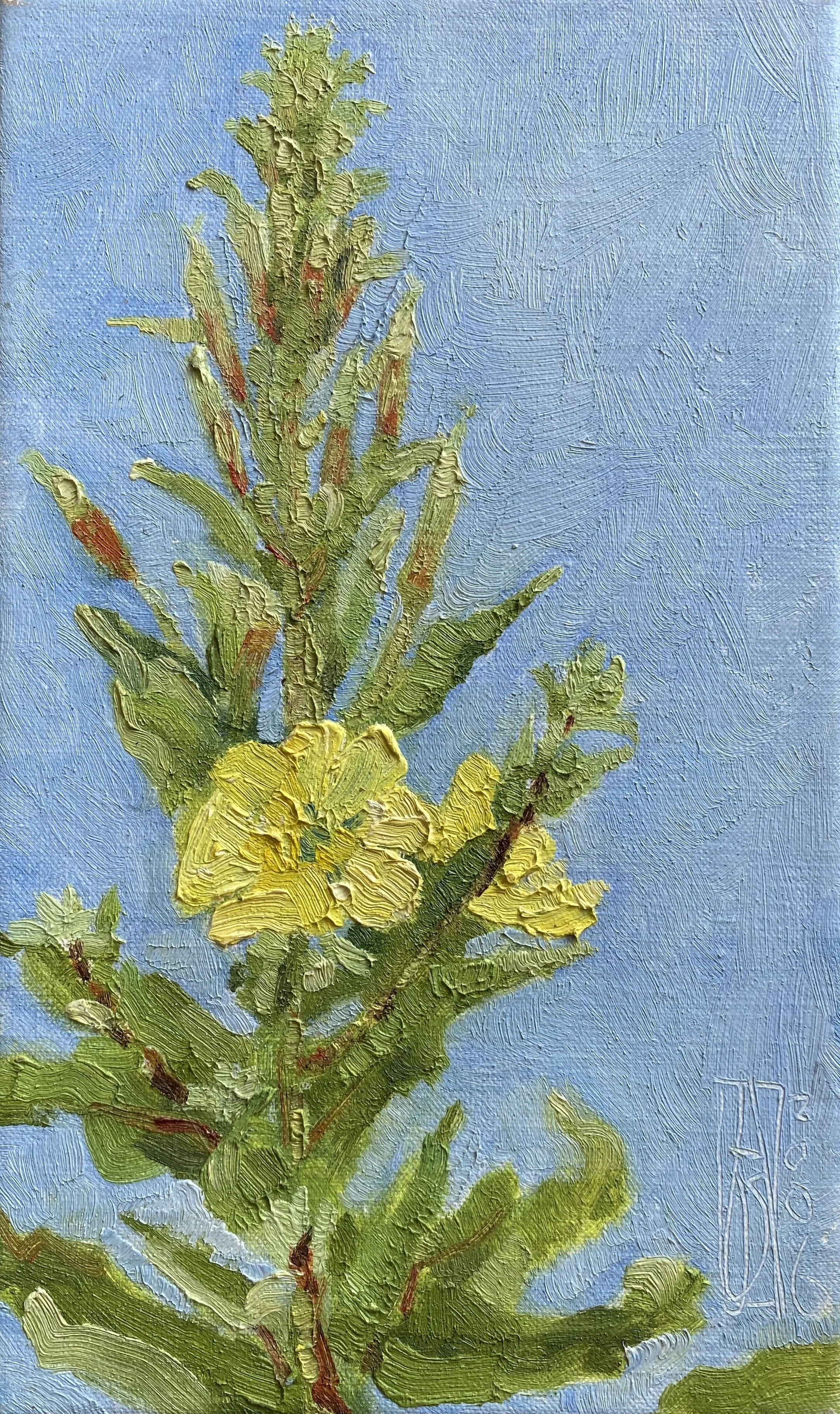 De kracht om zo te bloeien - 30x18 - € ????,-