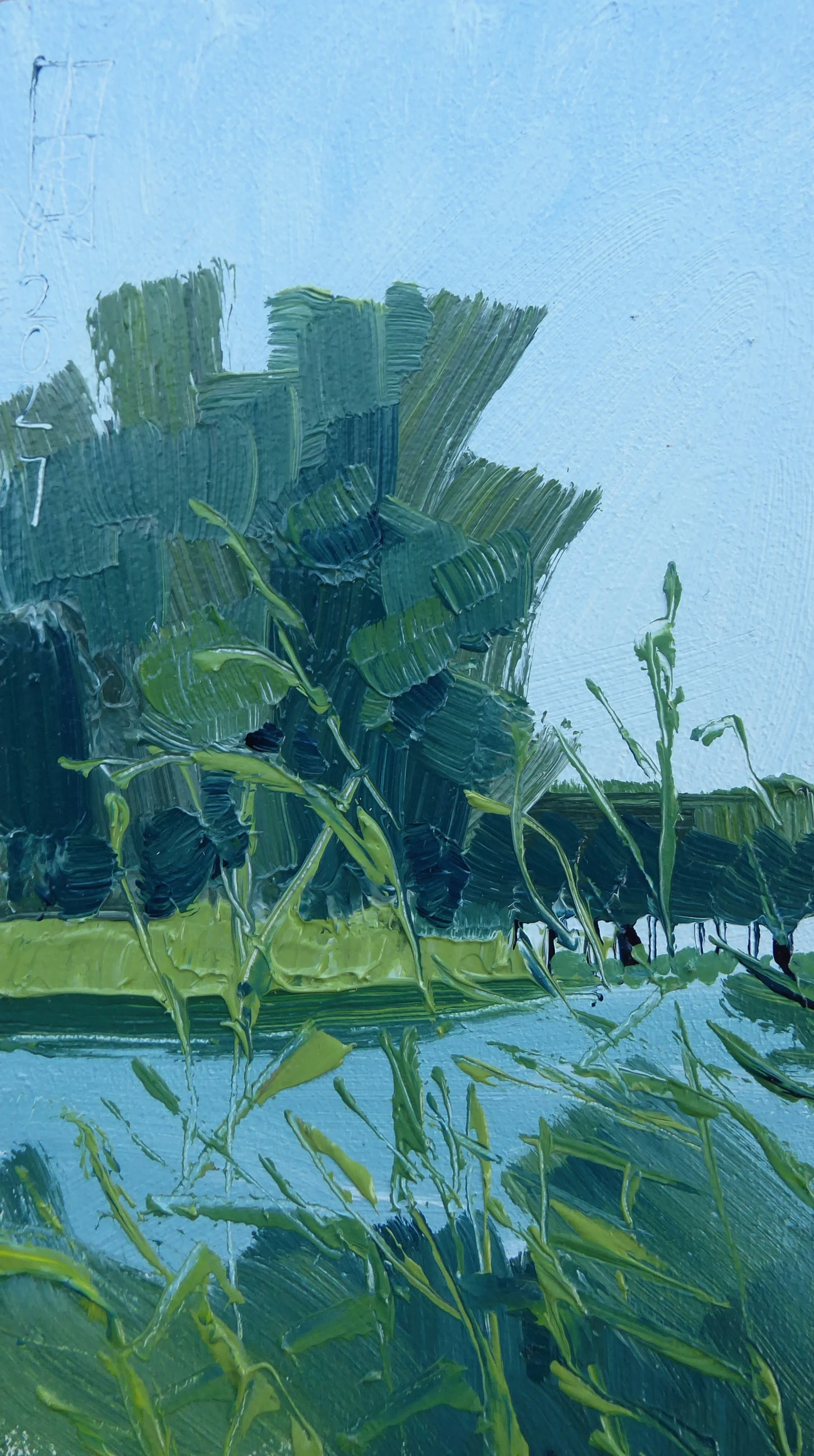 Het riet klaagt niet - 15x8,5cm - € 135,-
