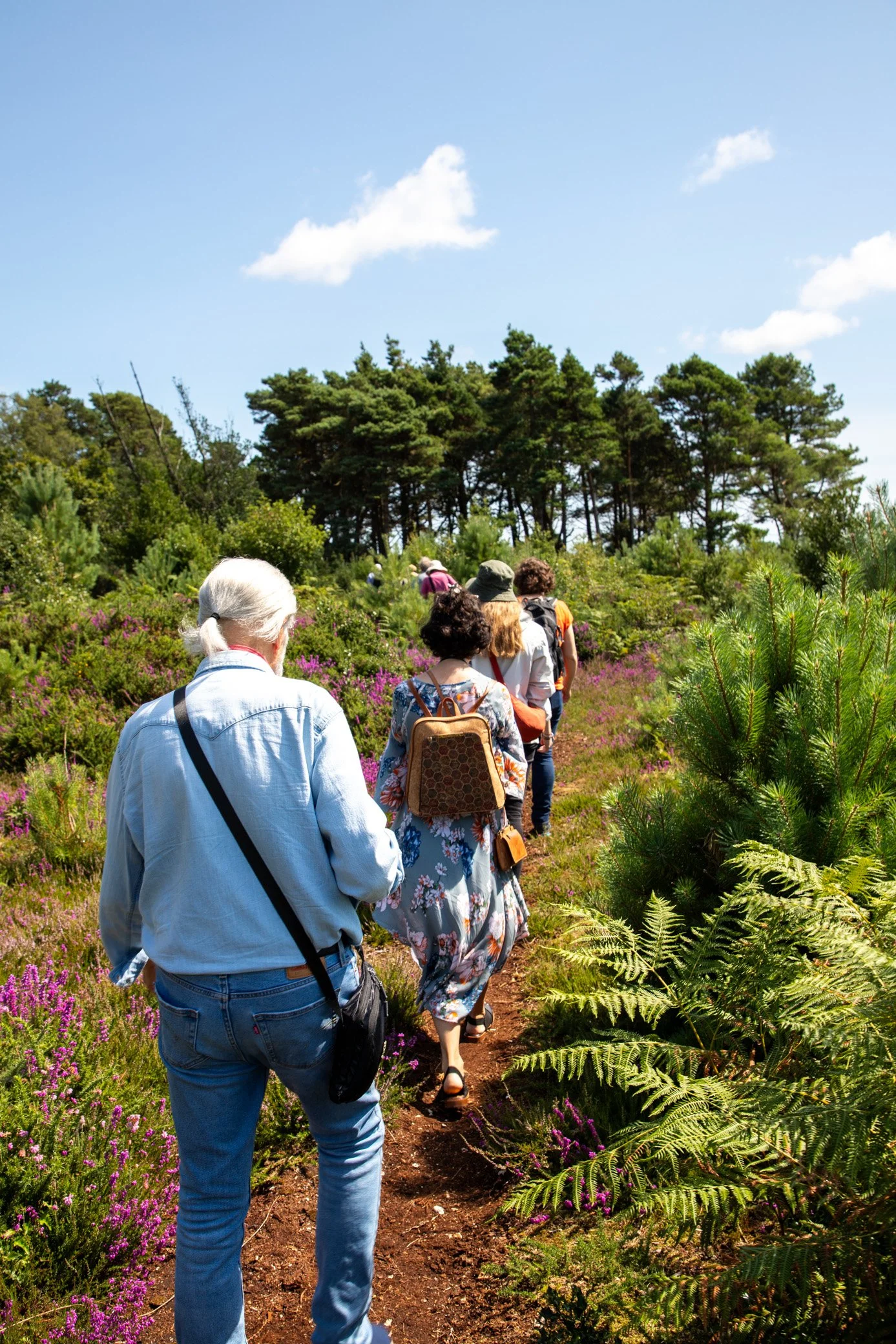 Thomas Hardy Cottage-17.jpg