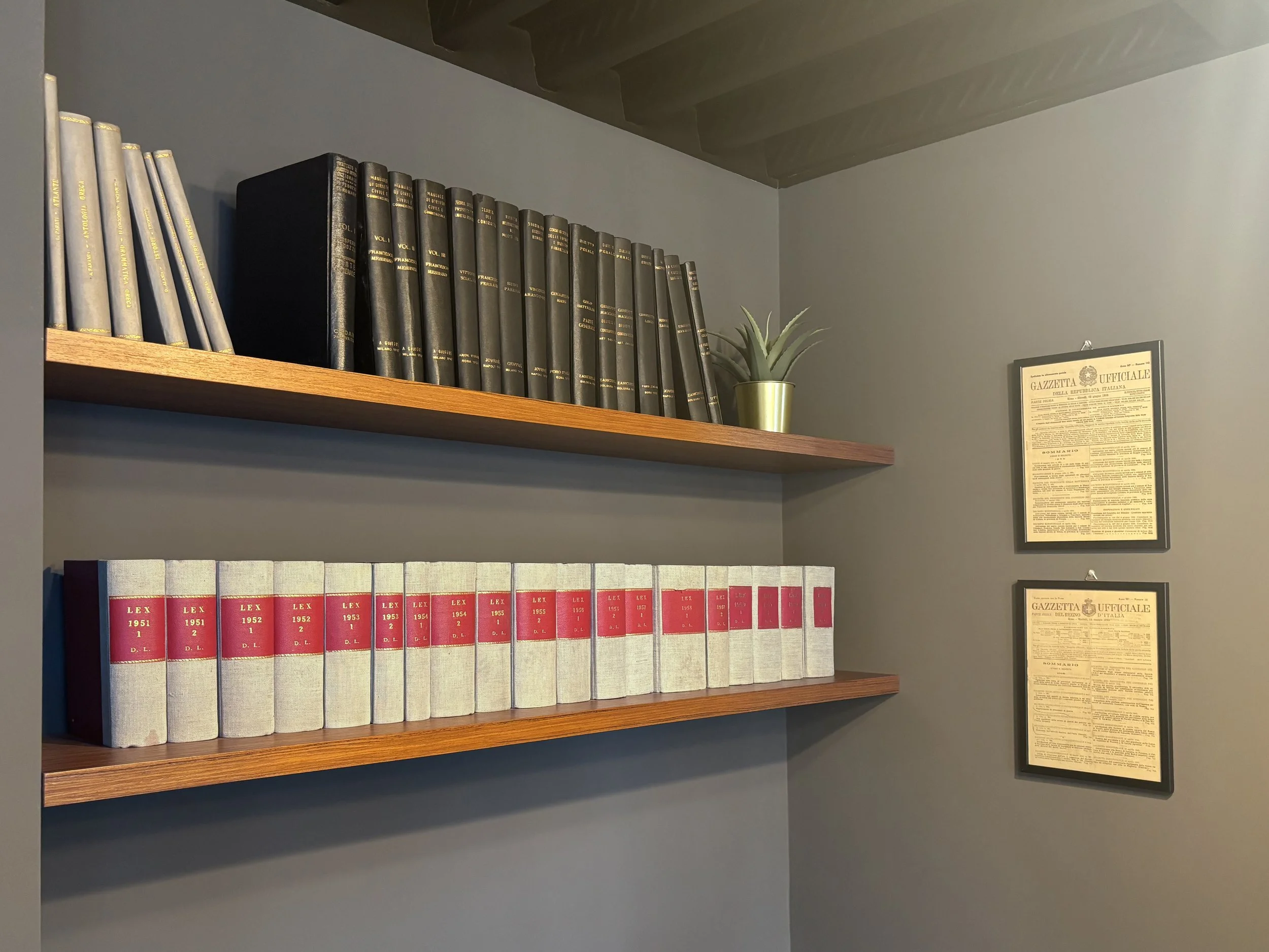 Ripiani con libri e riviste antiche e un vaso con piante, una delle quali è un'aspedistra, su una parete grigia con due certificati incorniciati.