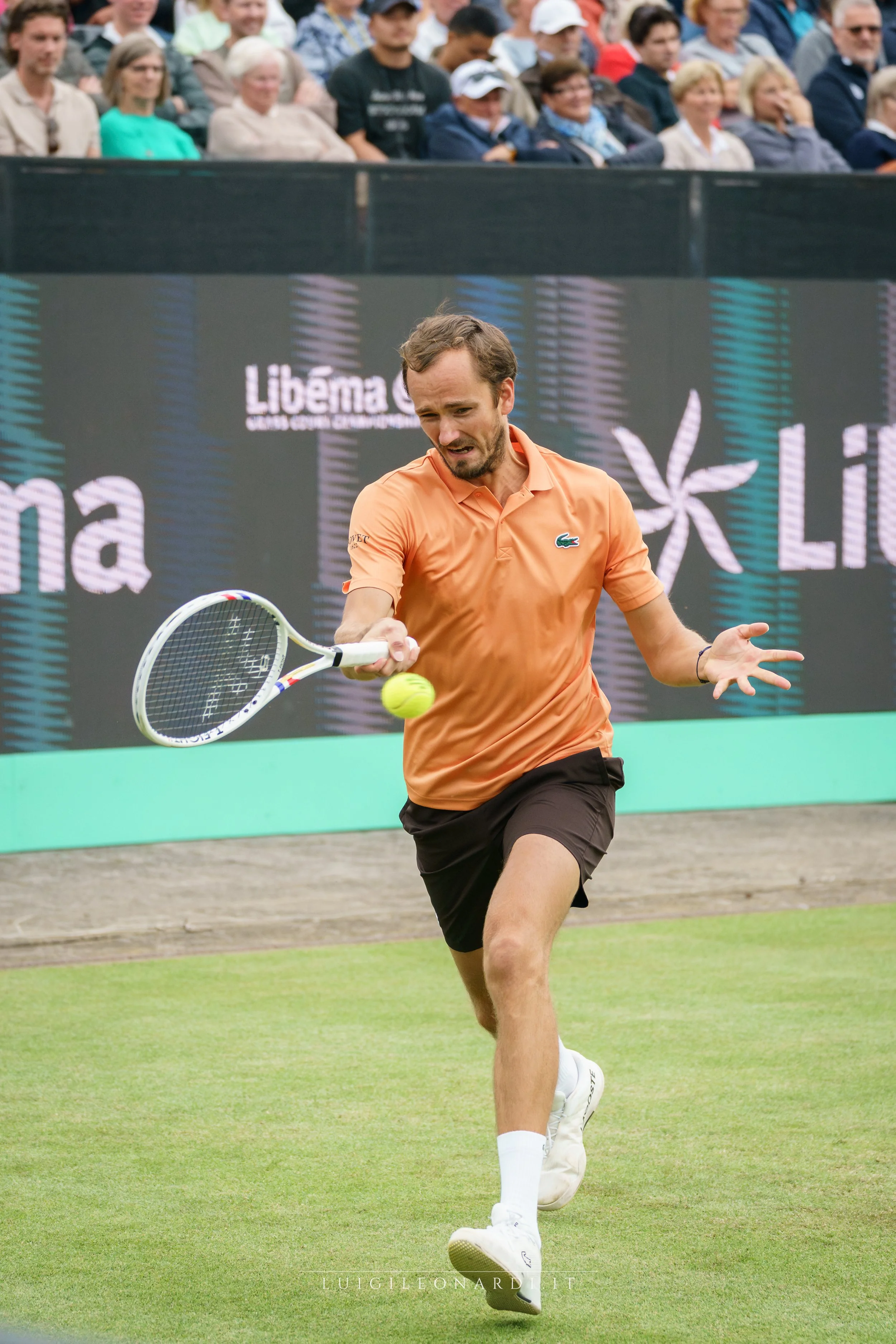 Daniil Medvedev