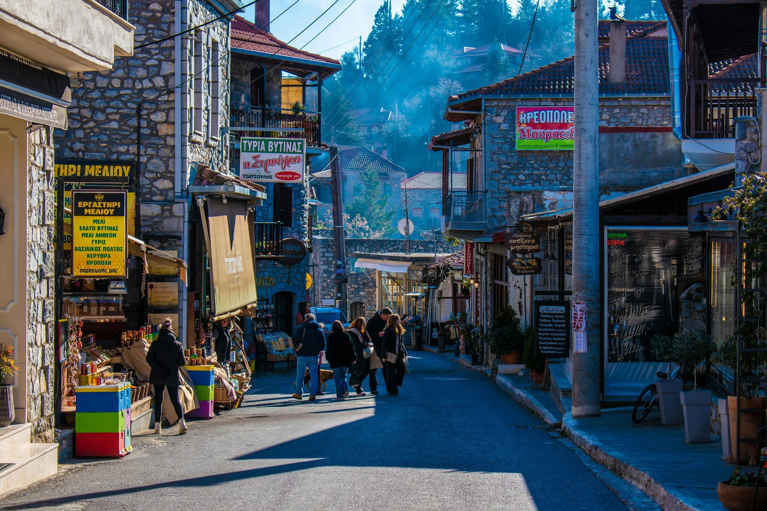 Traditional street with local shops in Vytina Arcadia Greece