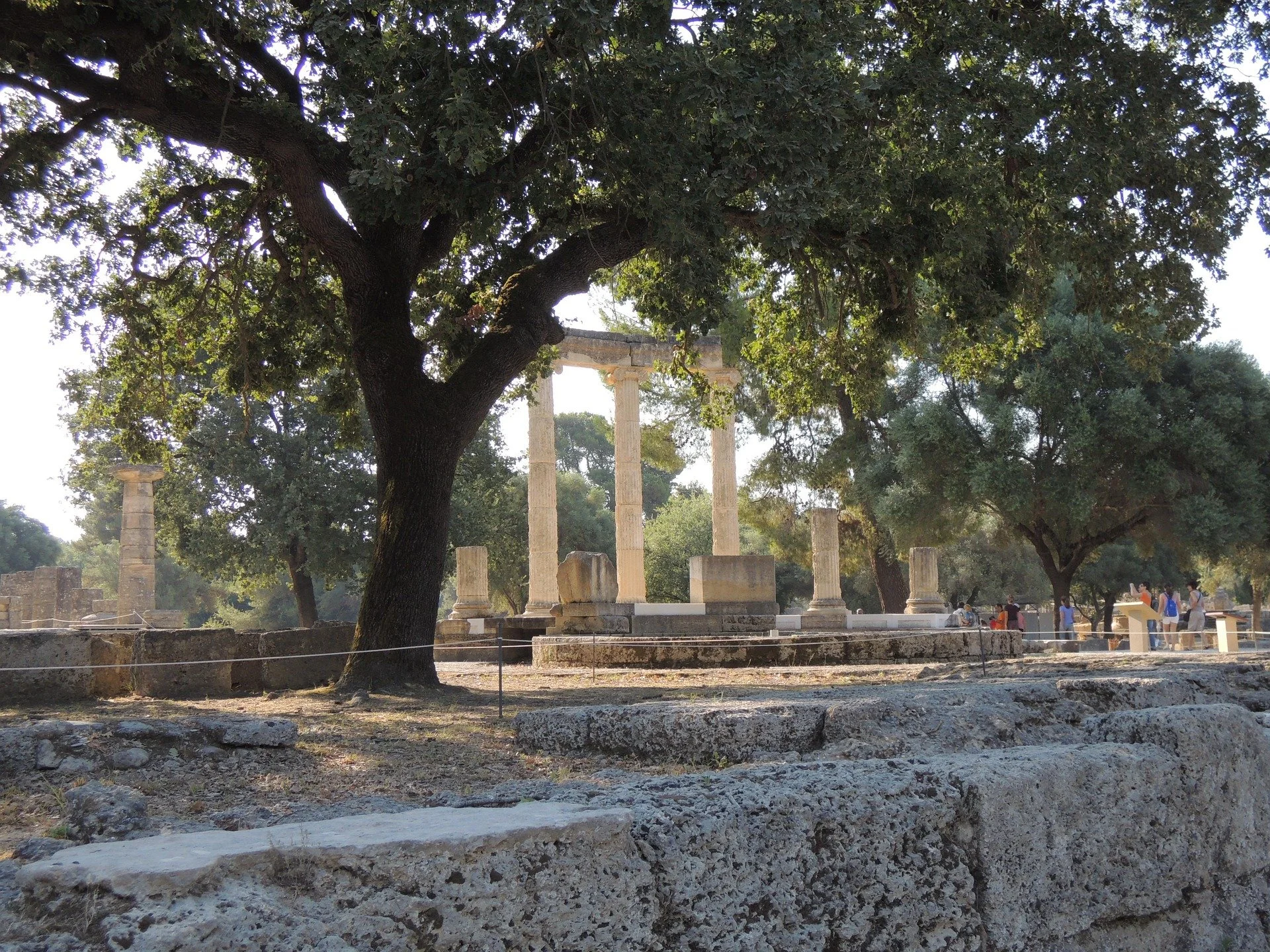 Historic ruins and sacred grounds of Ancient Olympia surrounded by olive trees in Greece
