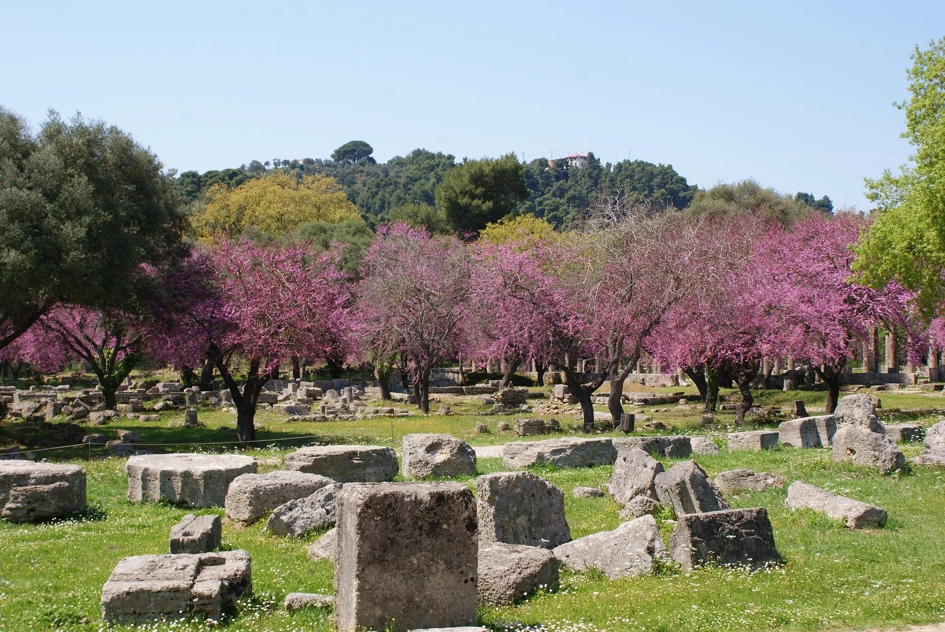 Ancient Olympia archaeological site with spring landscape and historic ruins in Greece