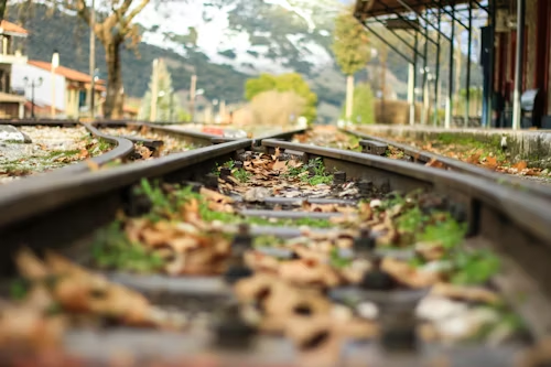 Odontotos Railway Experience