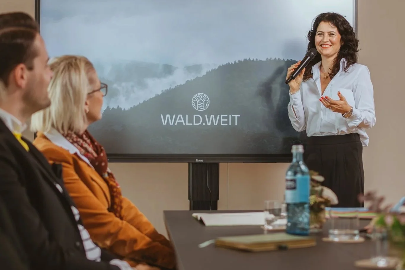 On Stage for a Keynote or Workshop or training, Jeanette Hangen is sharing her reconnect method and her knowledge in Stress management, somatic experience, embodiment, mindfulness according to jon kabat zin 