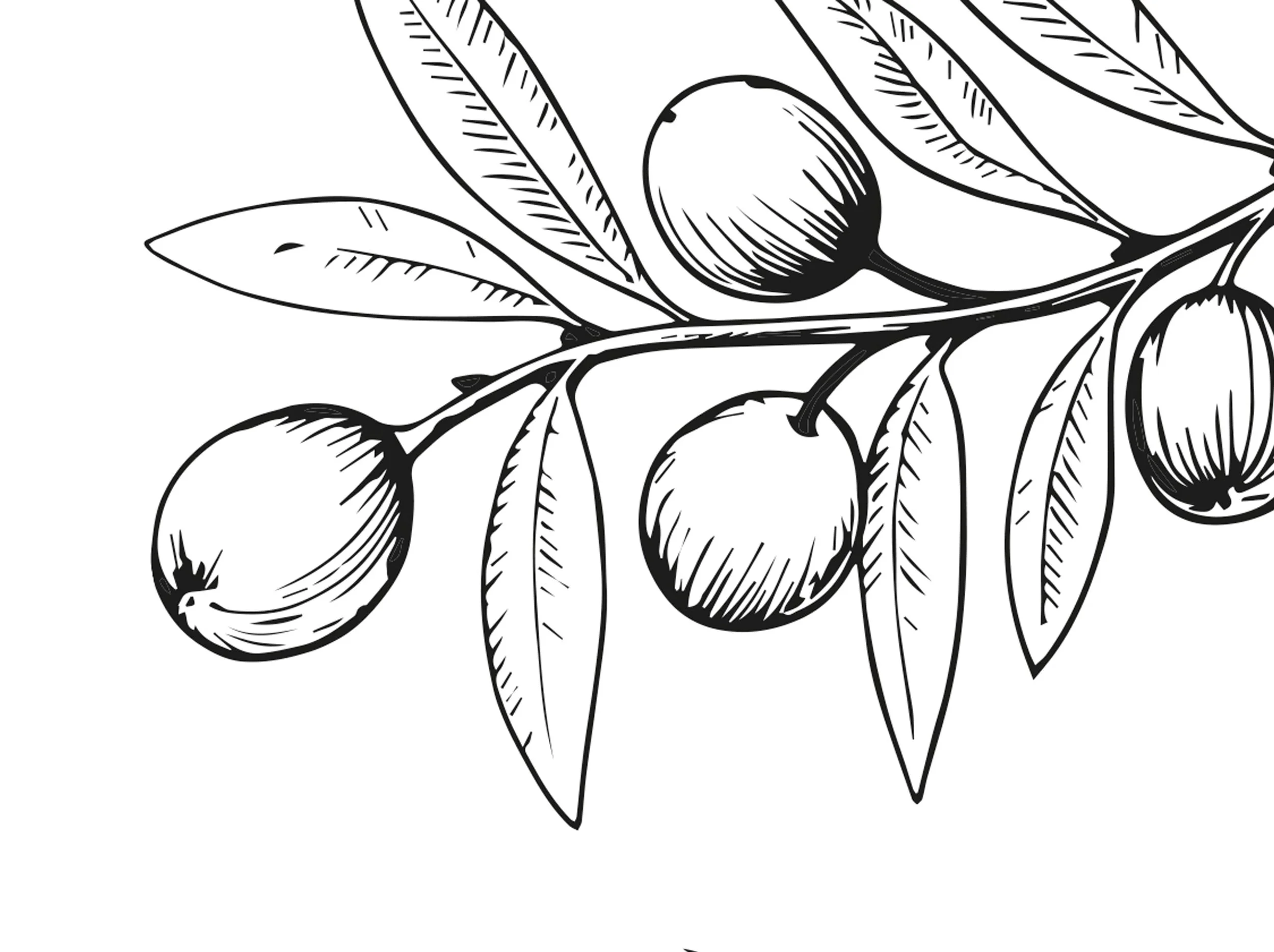 Logo et illustrations du restaurant "Les Tables Perchées"