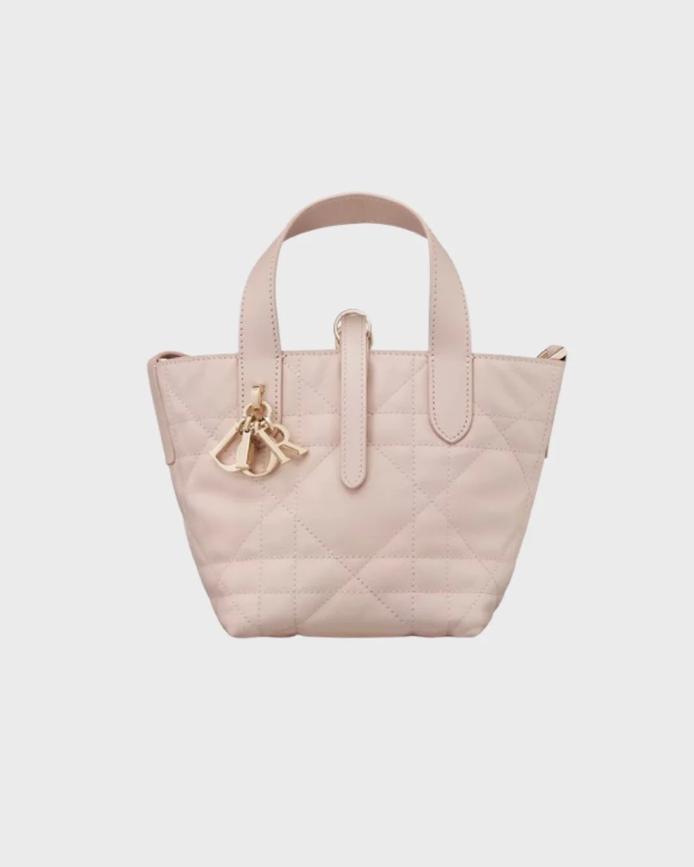 Dior Toujours Tote Bag
