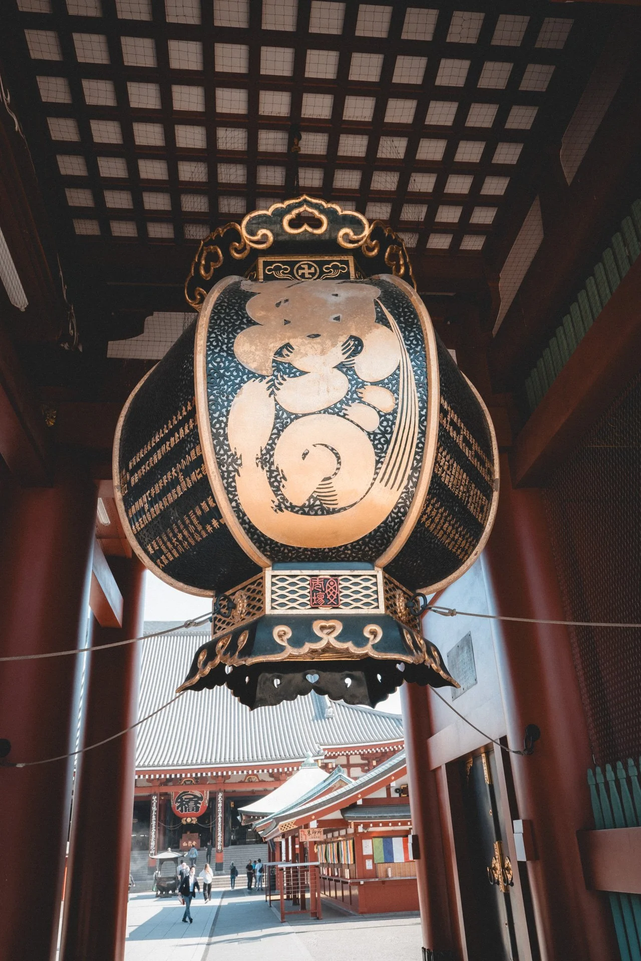 DSCF7371.jpg