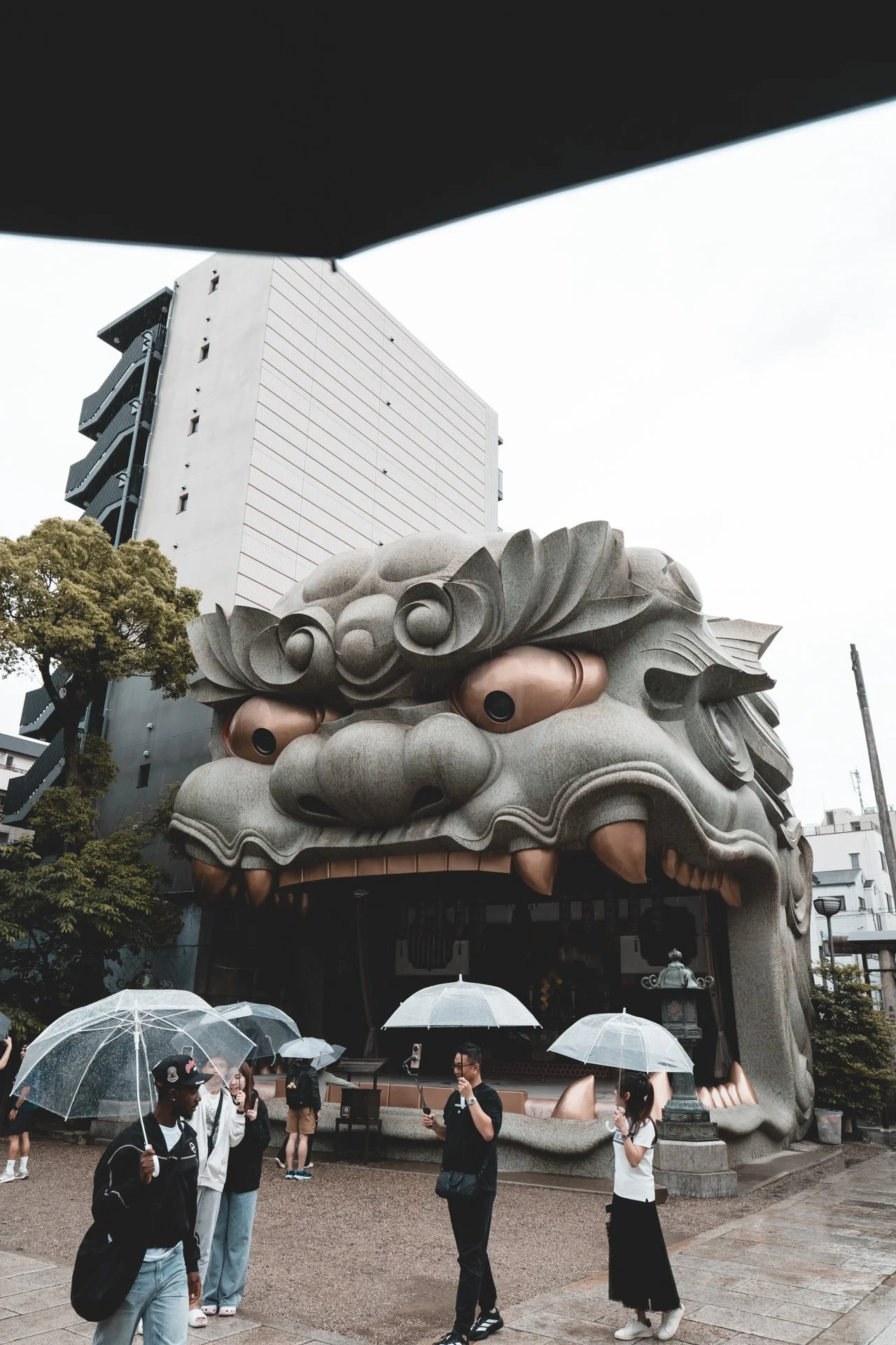 DSCF3981.jpg