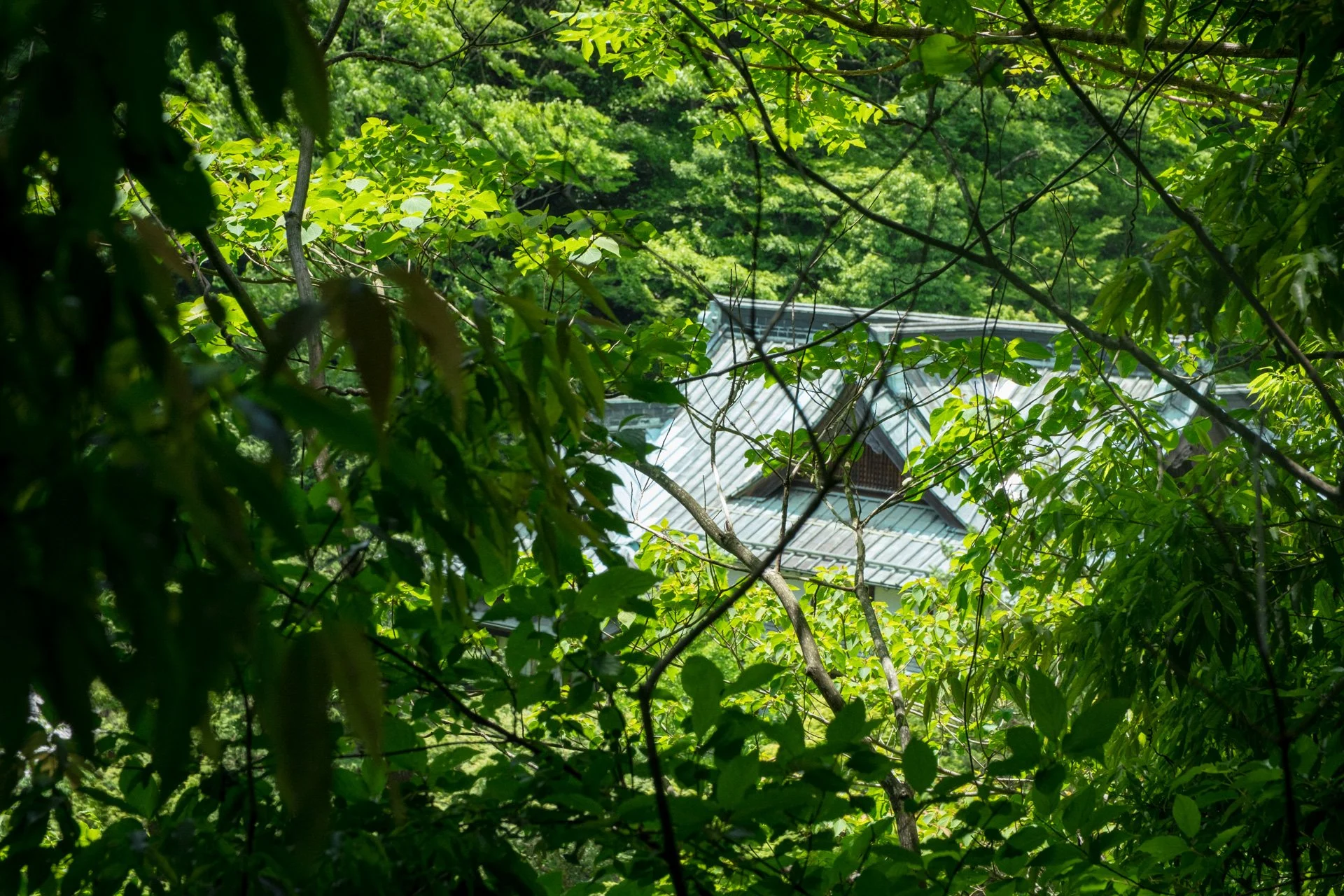 DSCF9067.jpg
