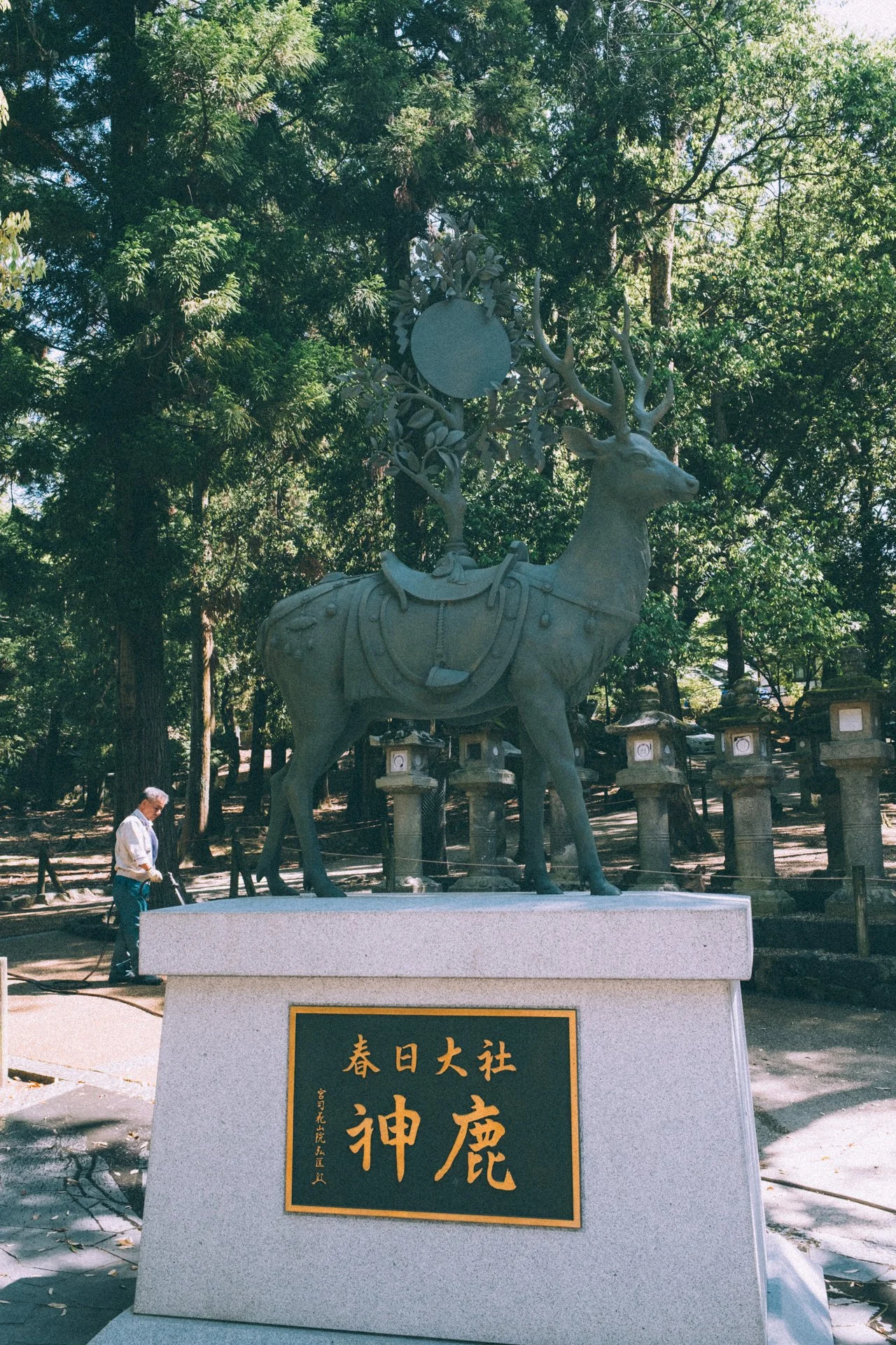 DSCF0408.jpg