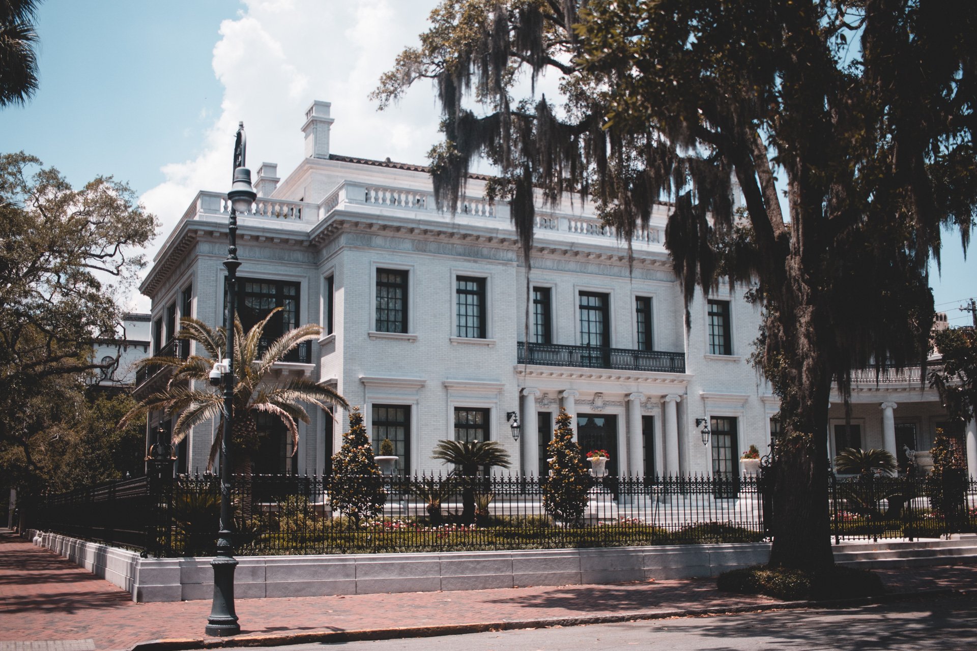 savannah-496.jpg