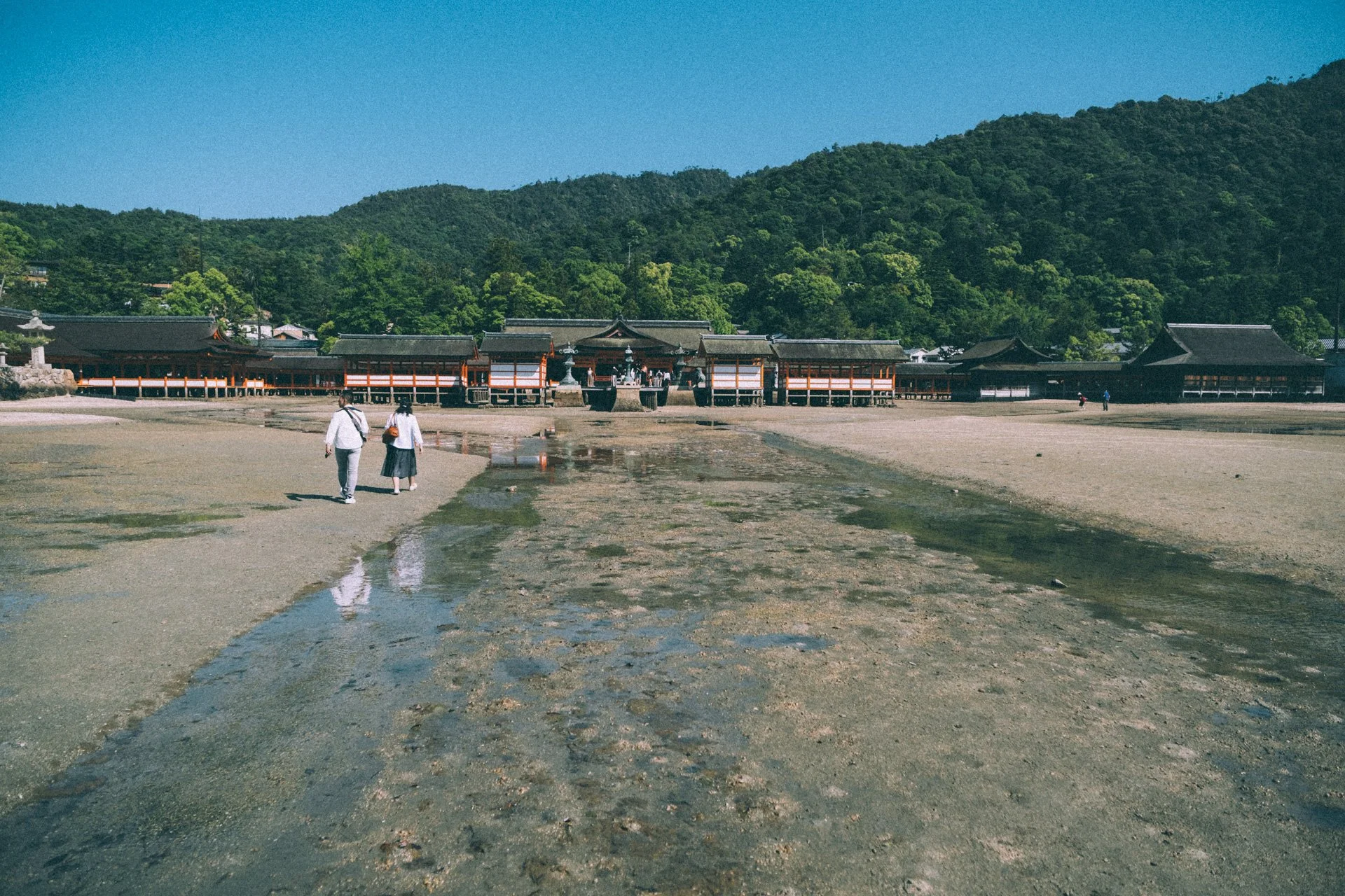 DSCF1815.jpg