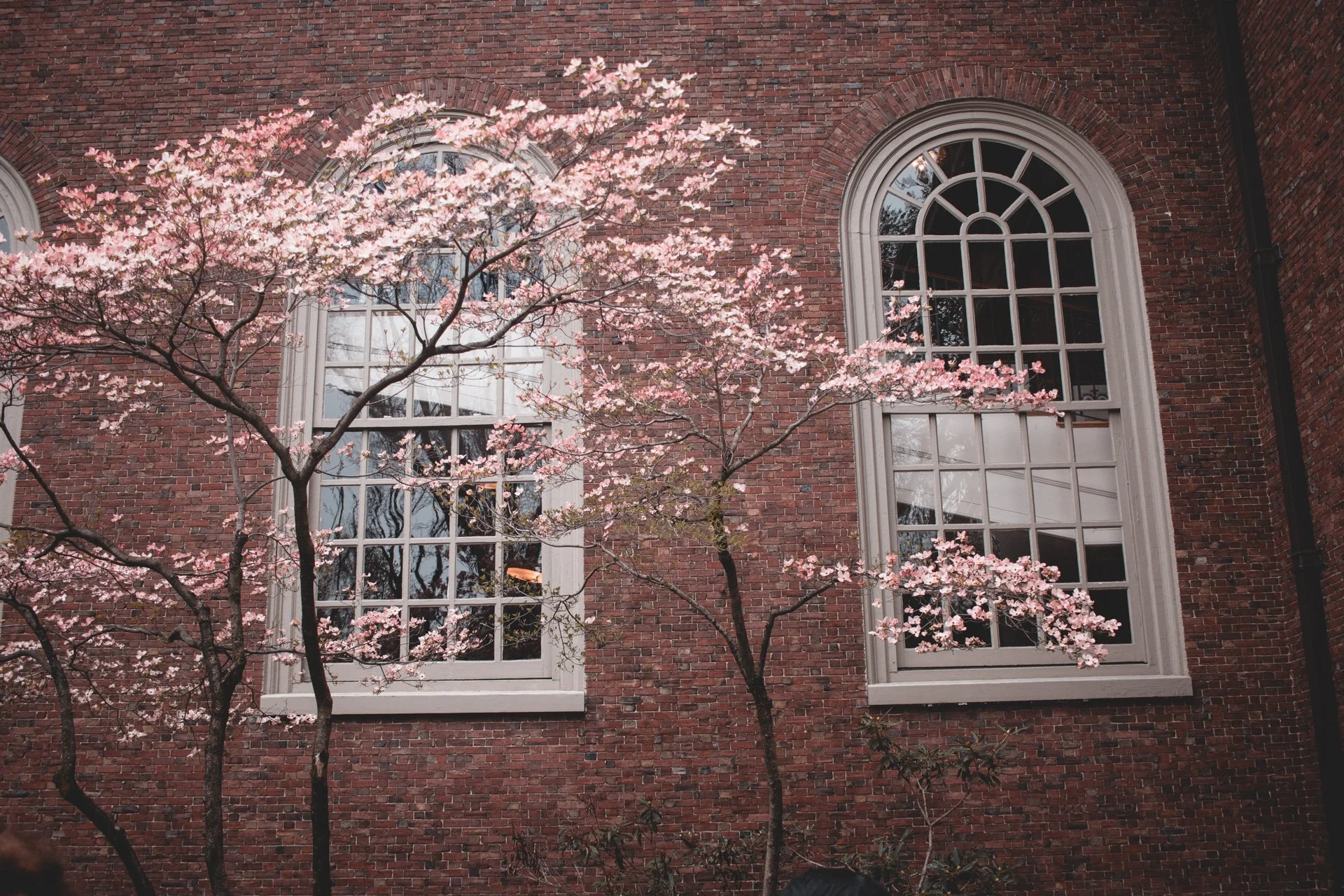 Boston-16.jpg