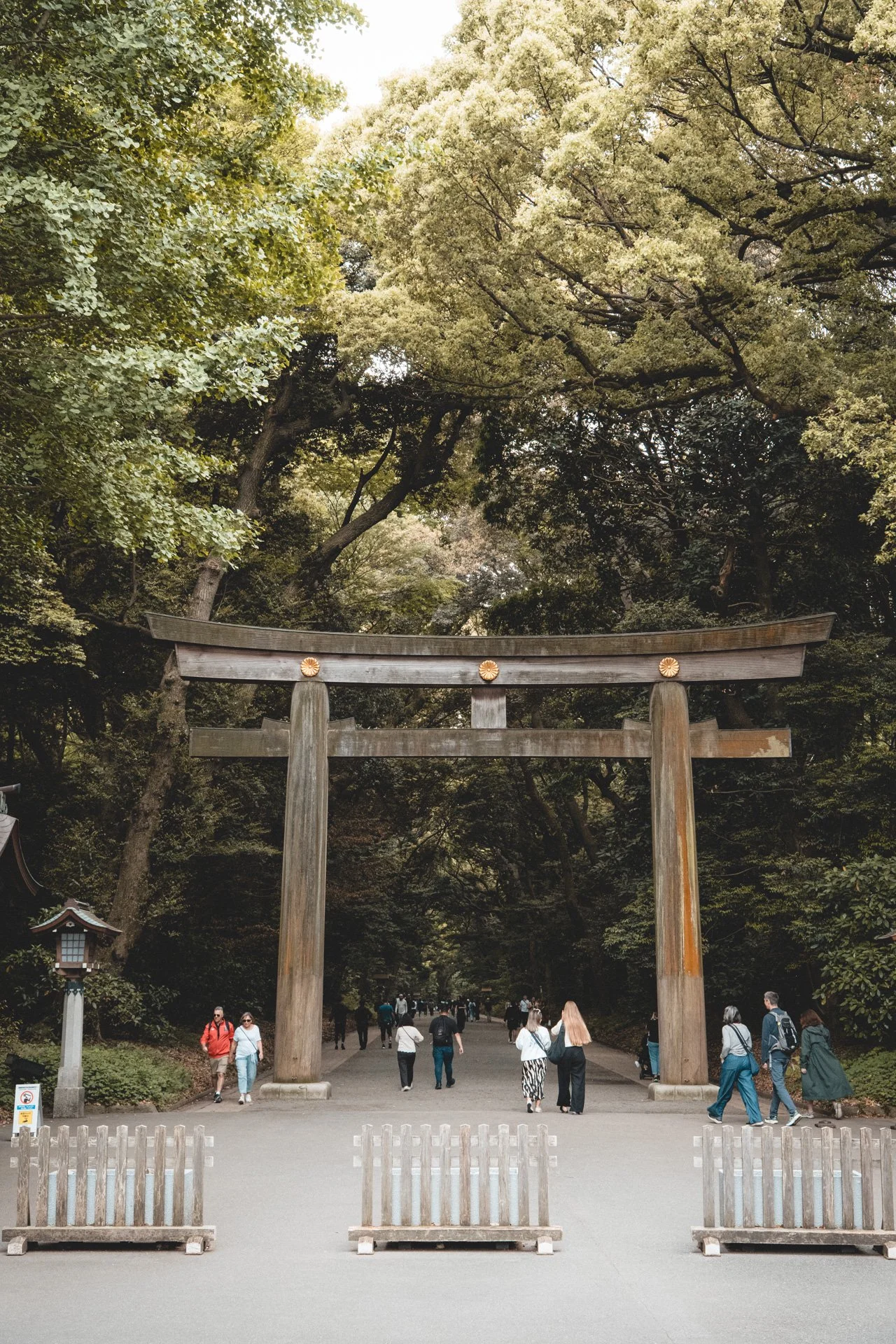 DSCF6968.jpg