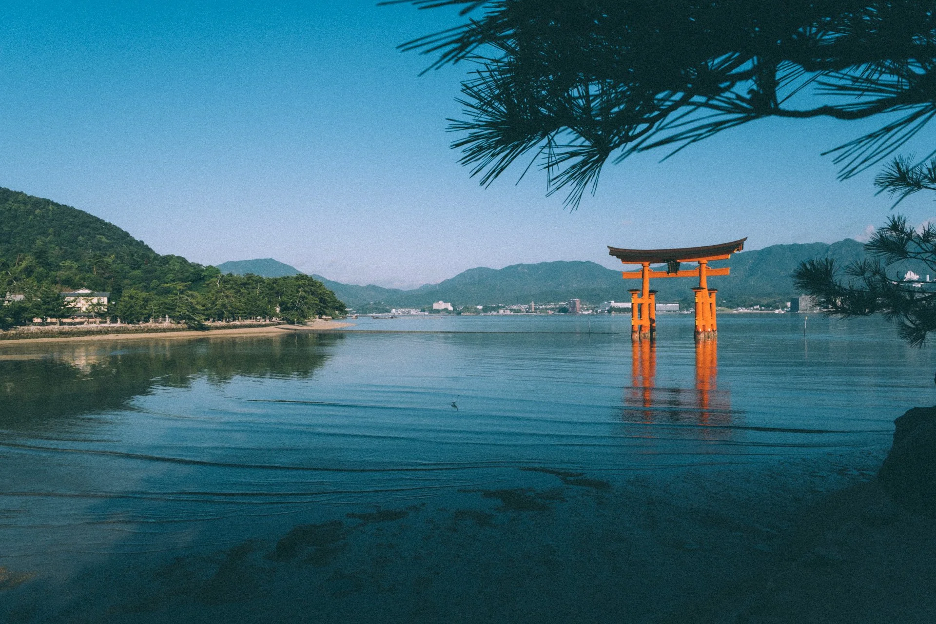 DSCF1952.jpg