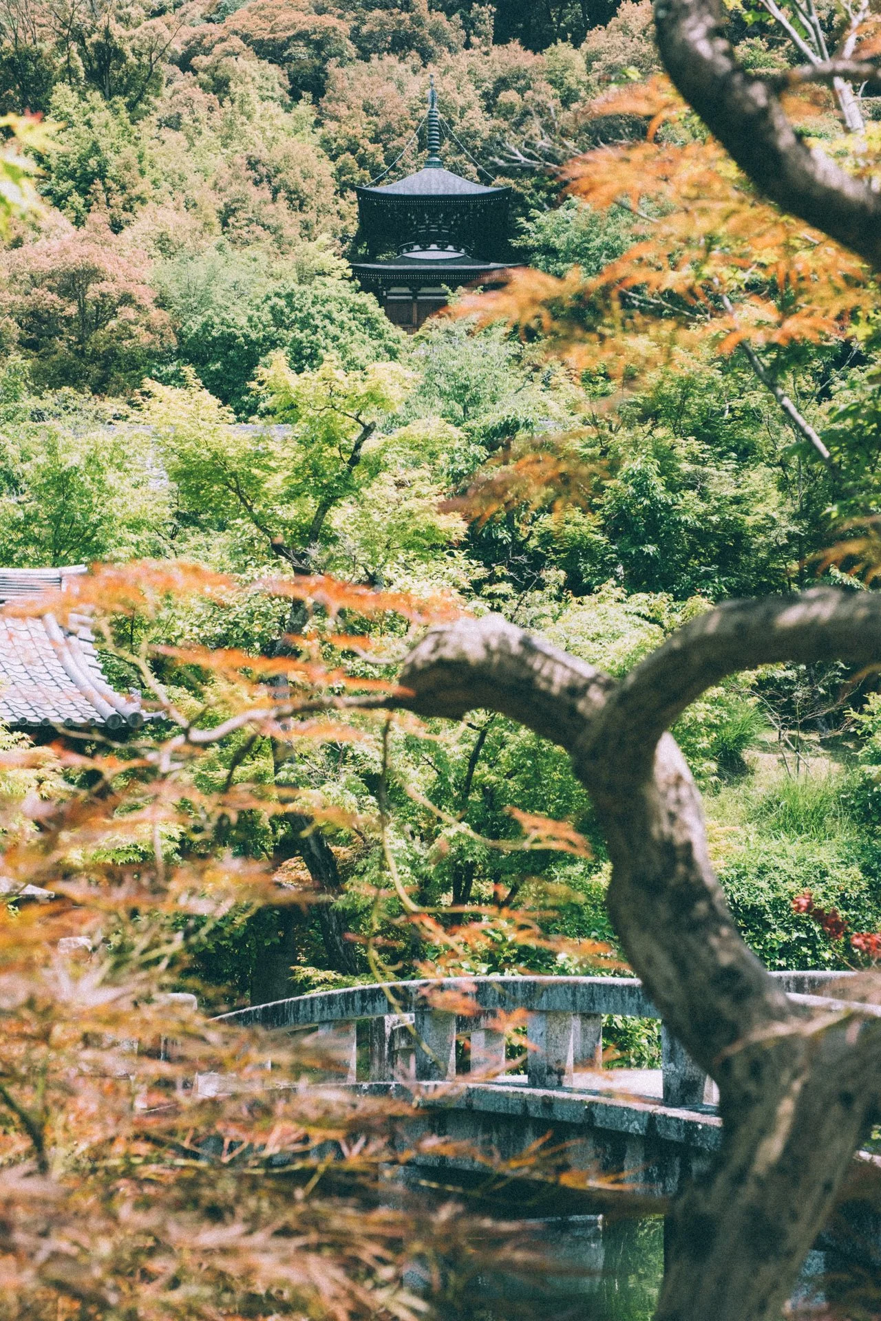 DSCF1065.jpg