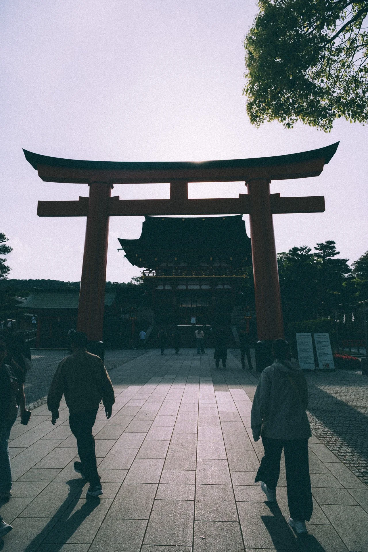 DSCF9854.jpg
