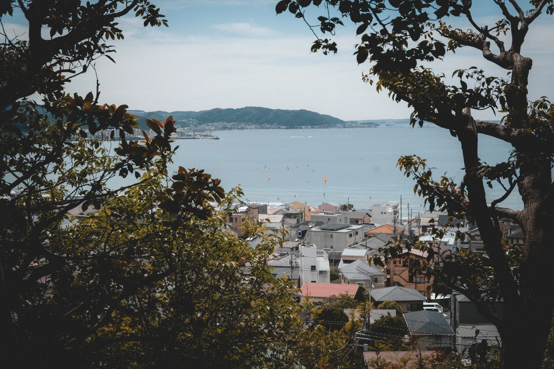 DSCF8383.jpg