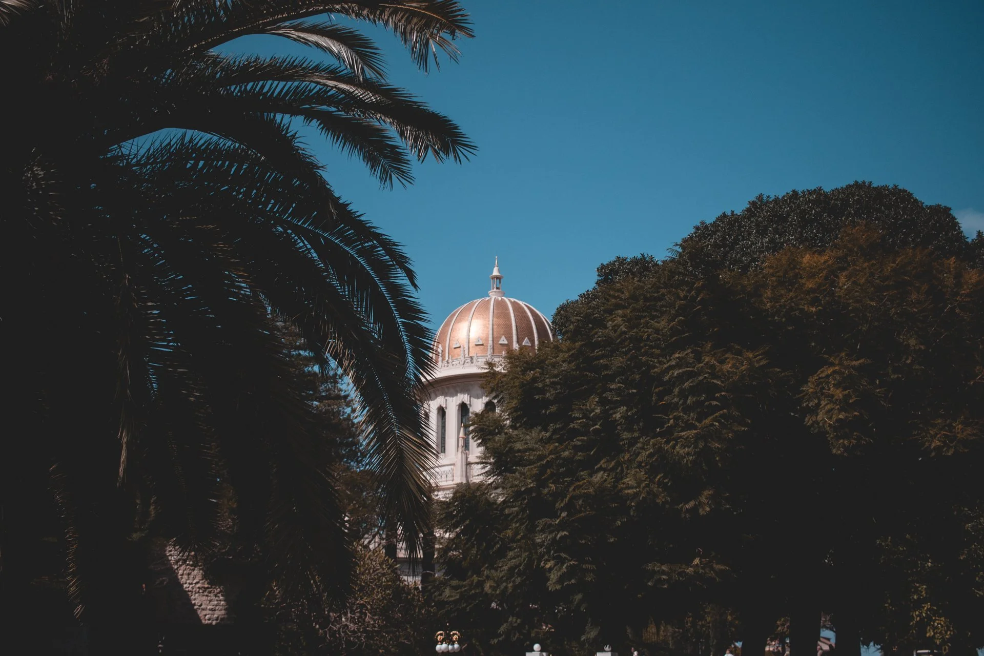 20180227-24892 - israel.jpg