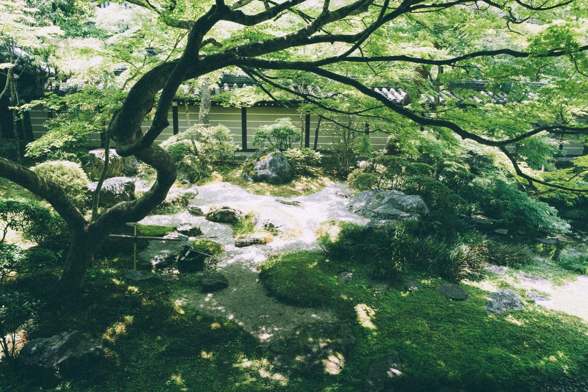 DSCF1018.jpg