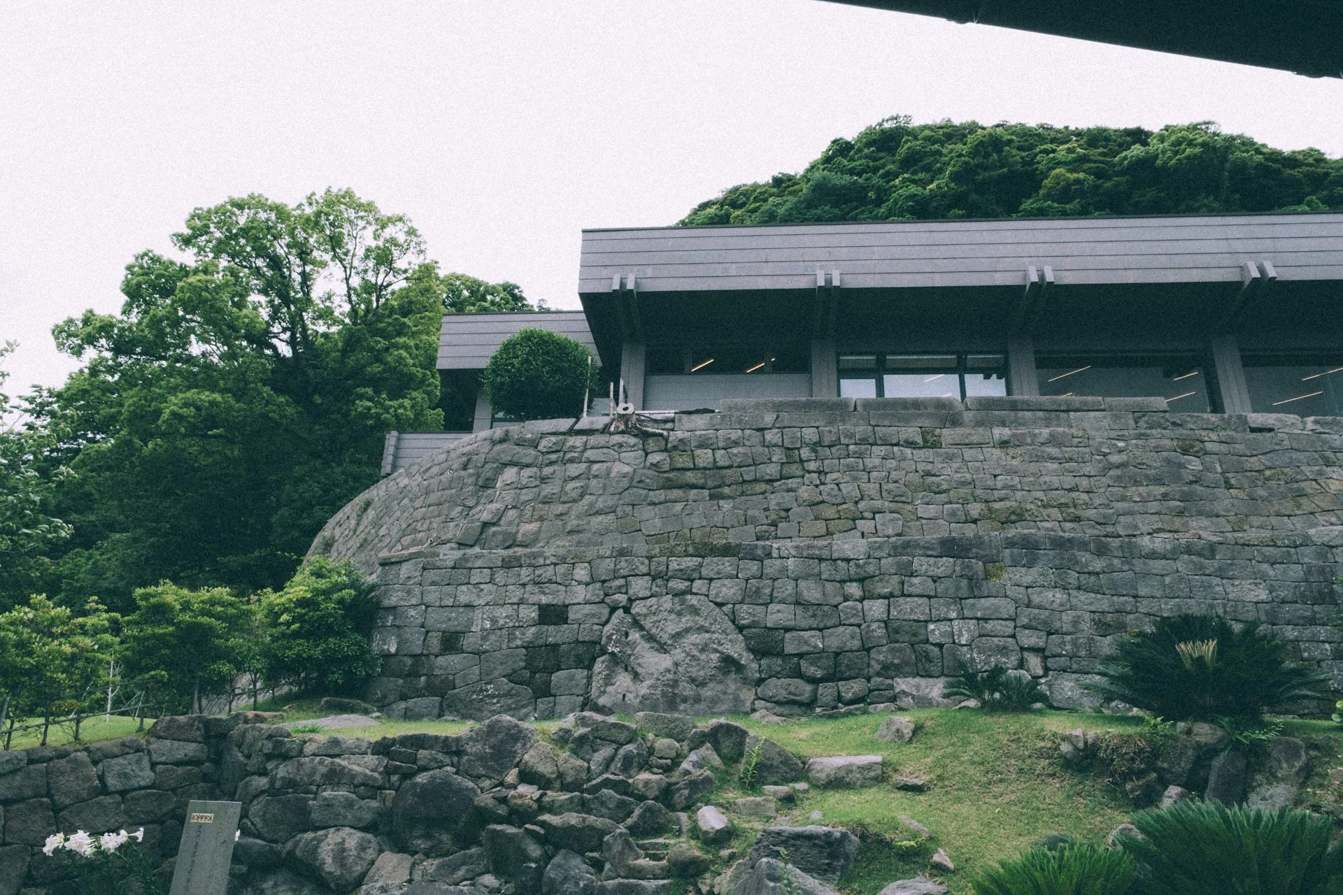 DSCF3796.jpg