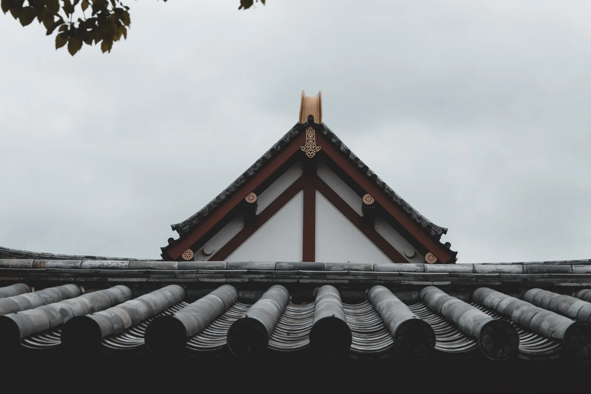 DSCF4408.jpg