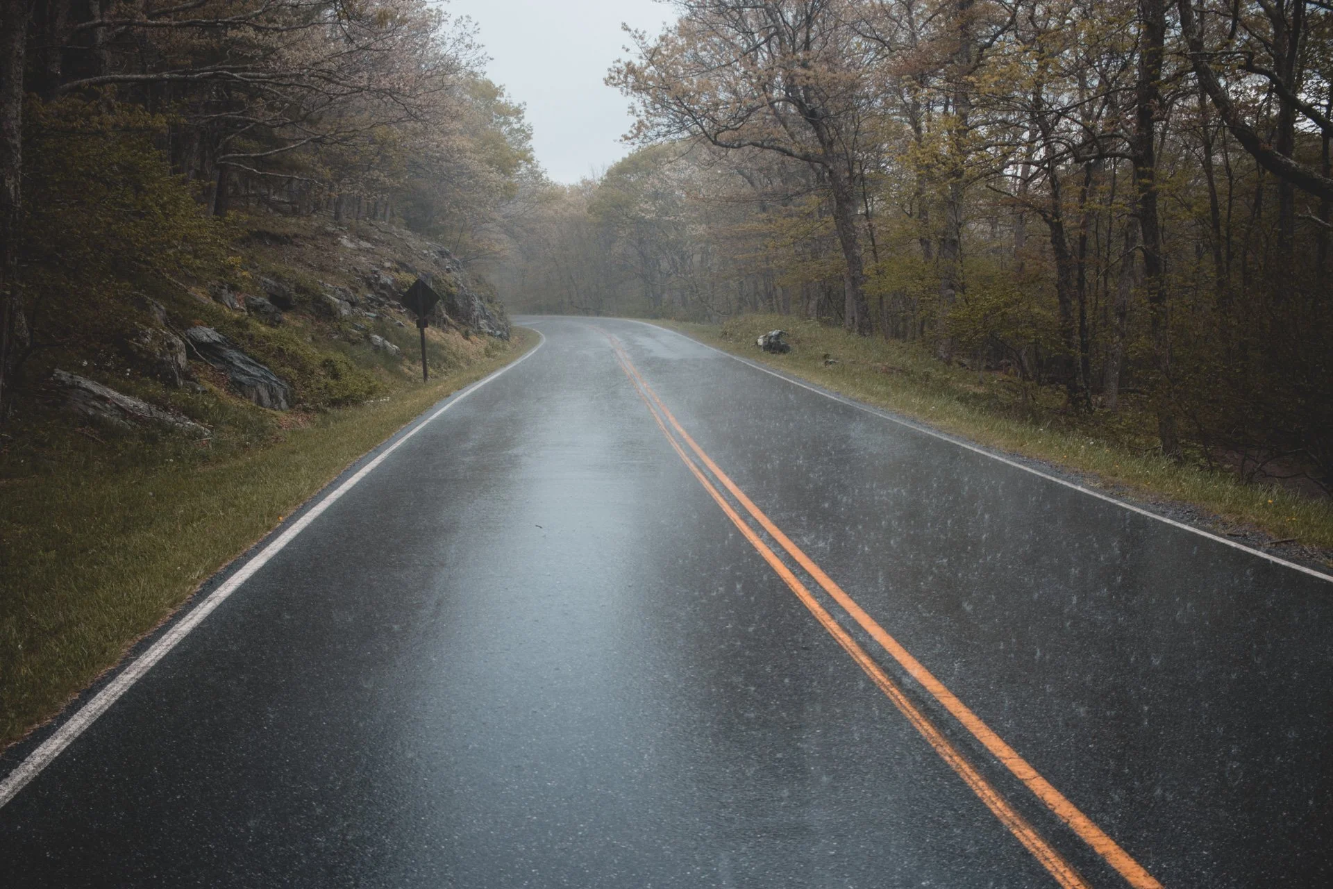 2019 | Shenandoah National Park