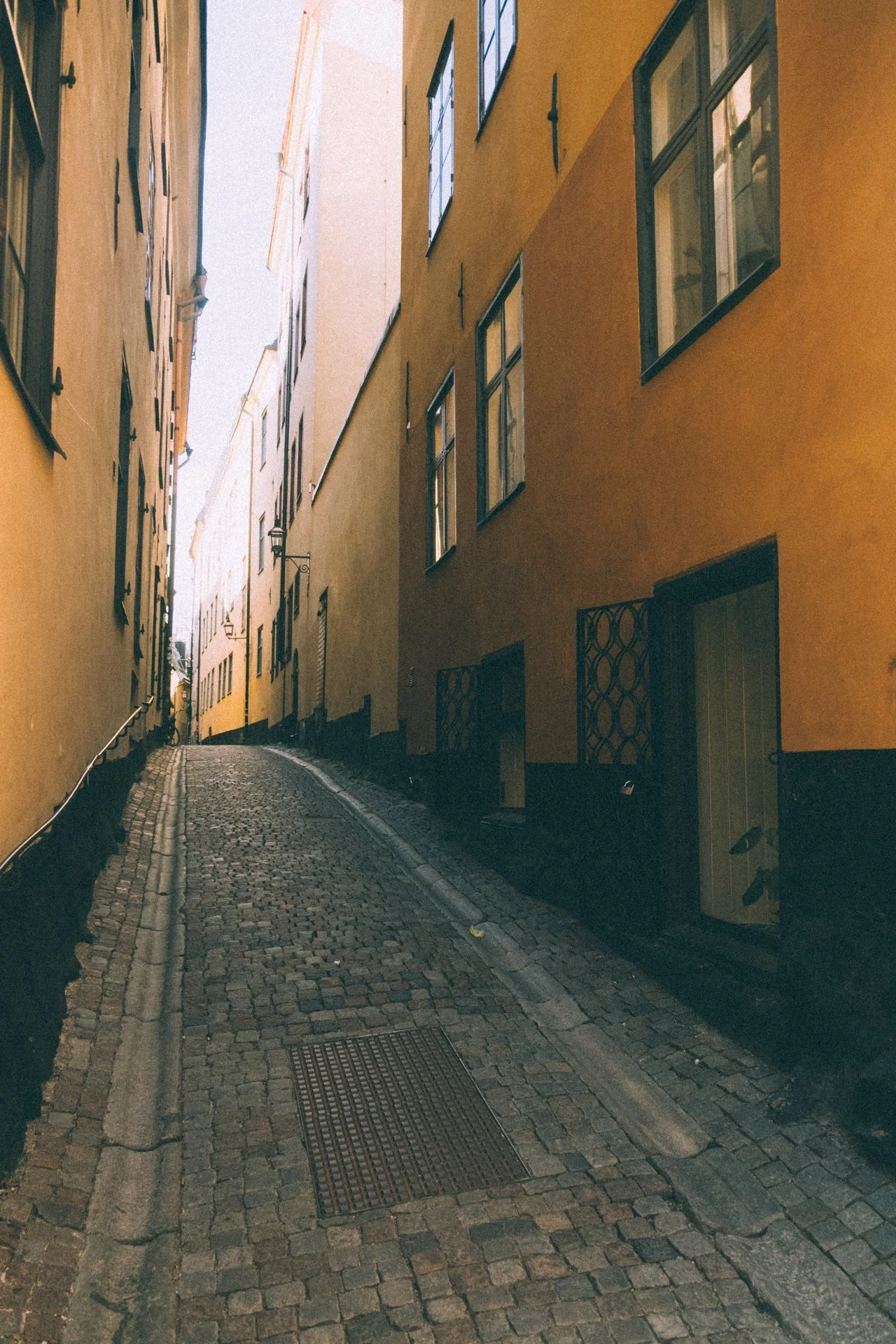 DSCF6667.jpg